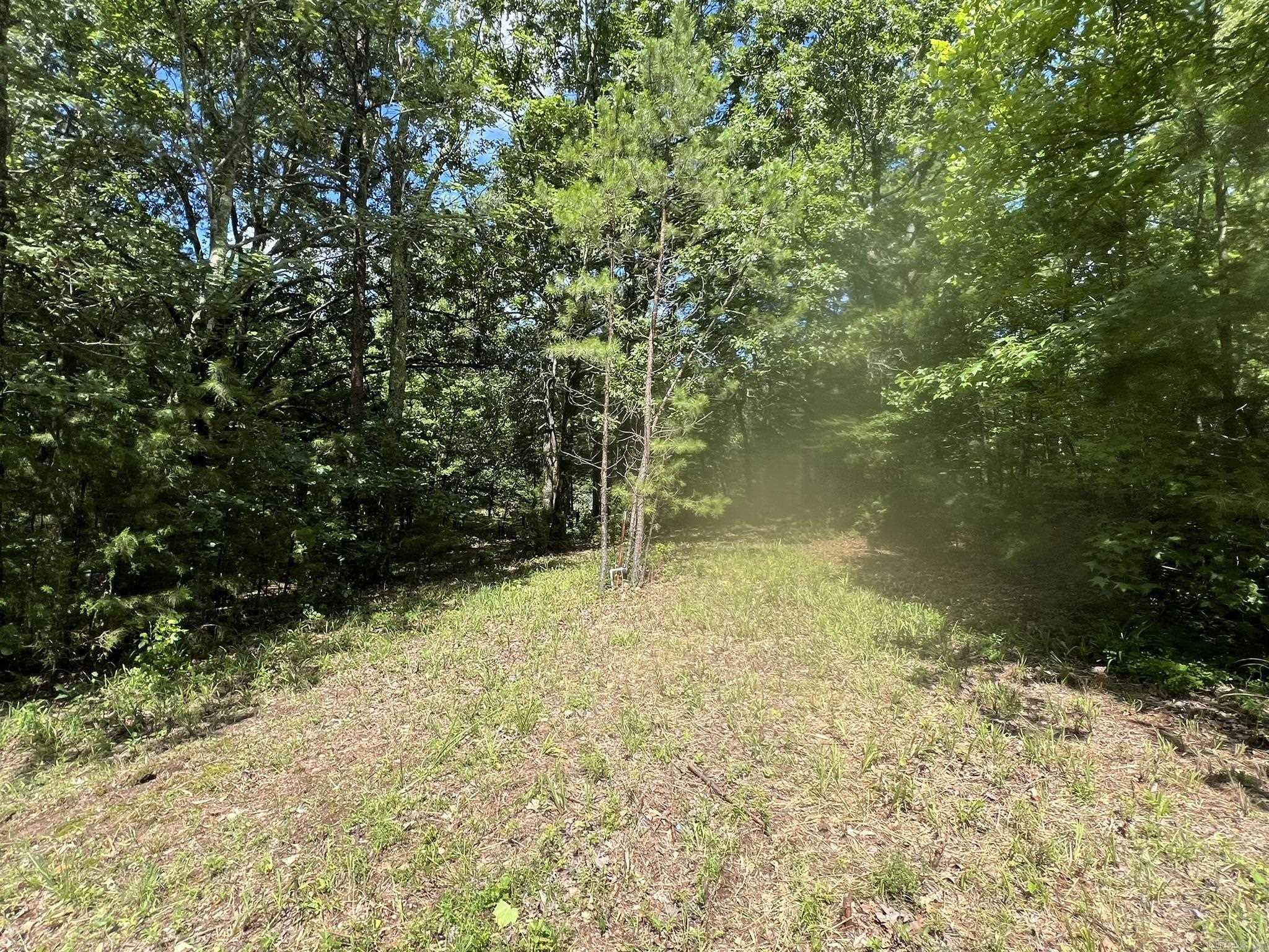 Unk Fs Road 521 Property Photo 18