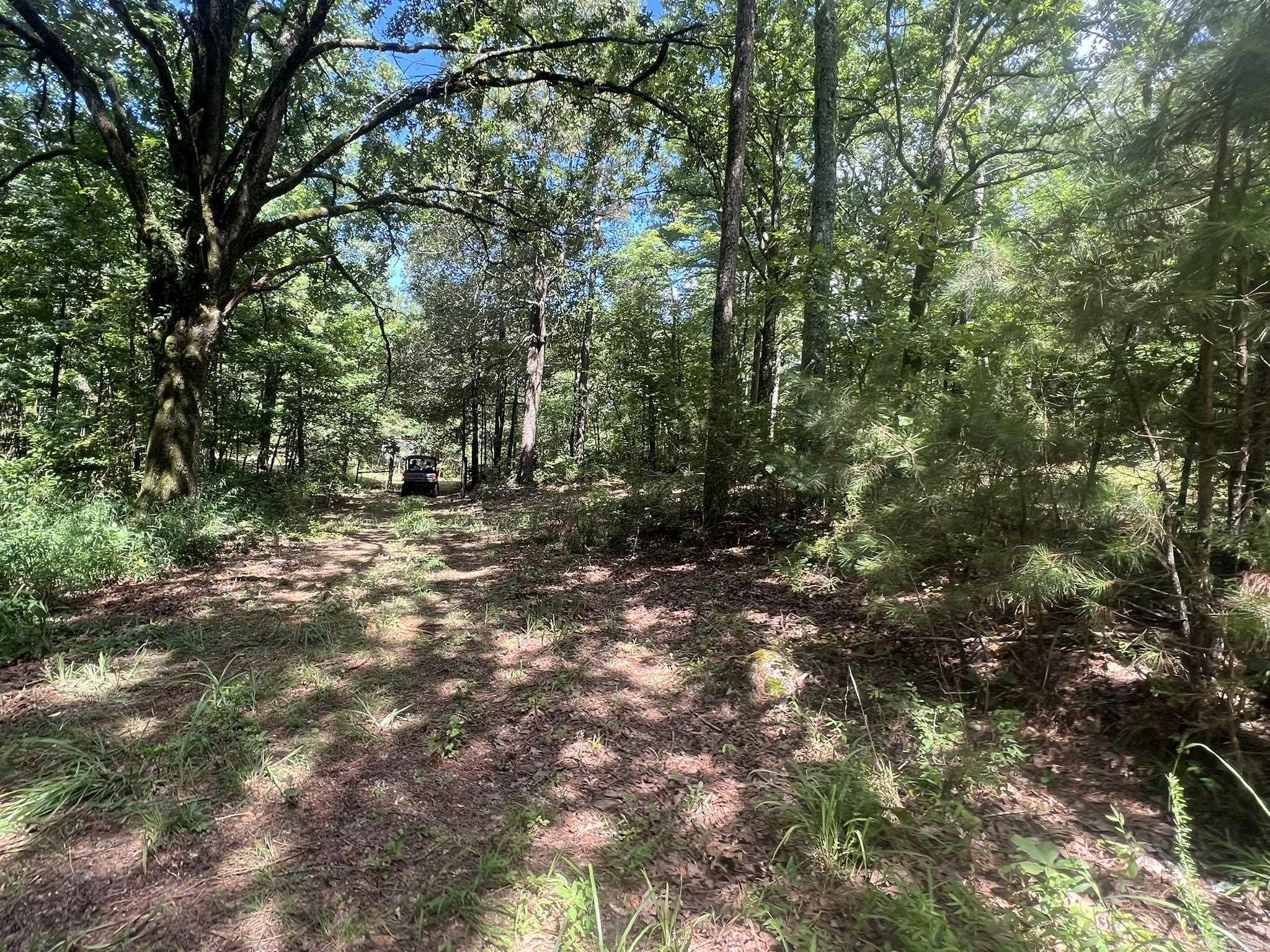 Unk Fs Road 521 Property Photo 19