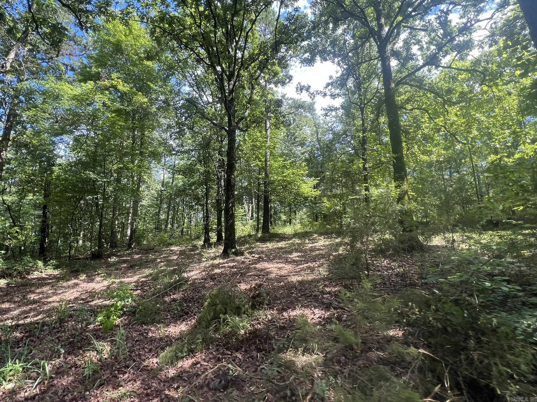 Unk Fs Road 521 Property Photo 20