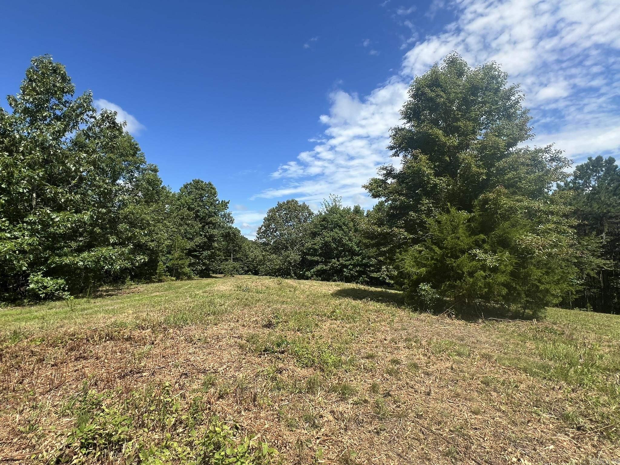 Unk Fs Road 521 Property Photo 22