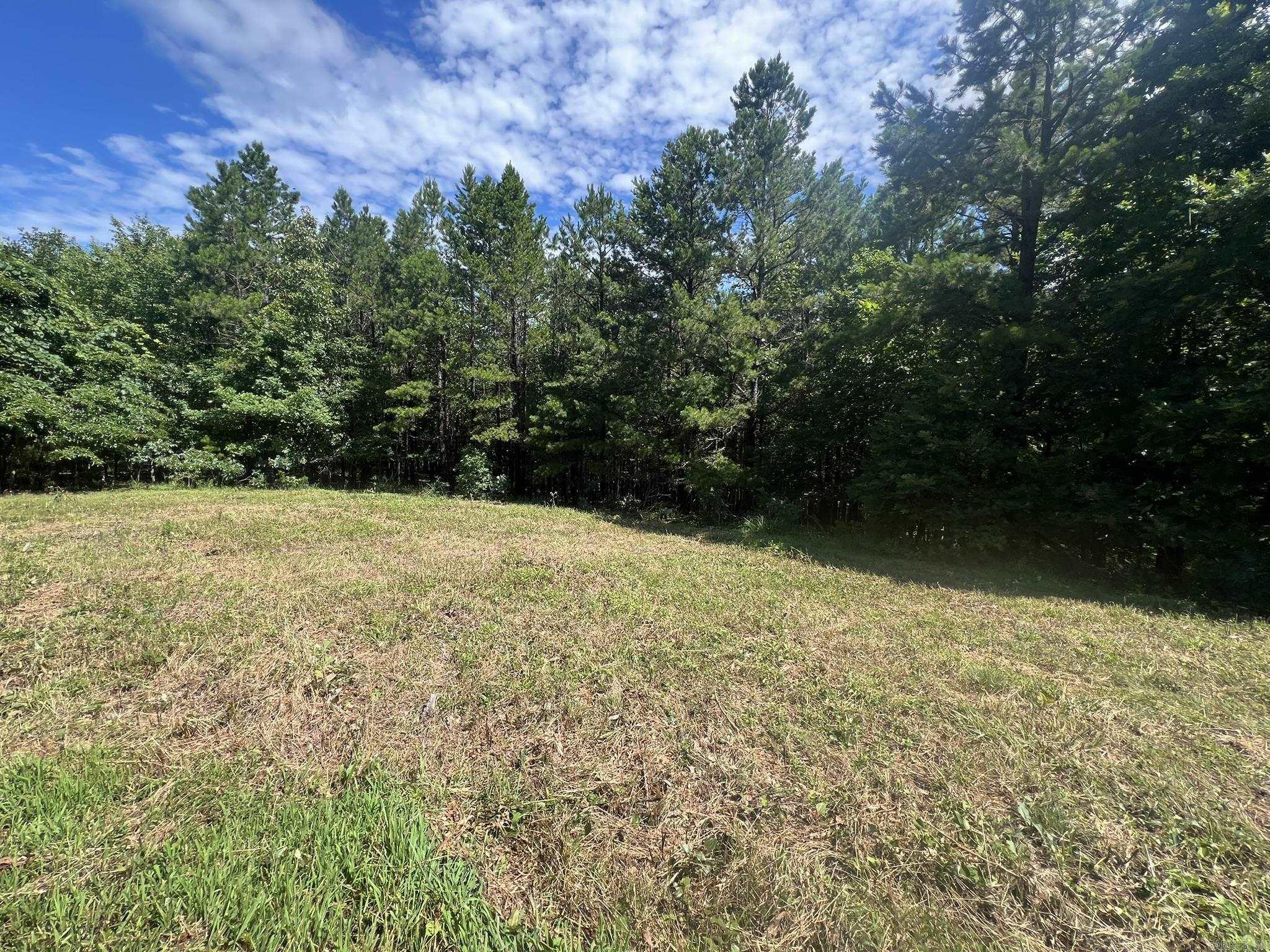 Unk Fs Road 521 Property Photo 23