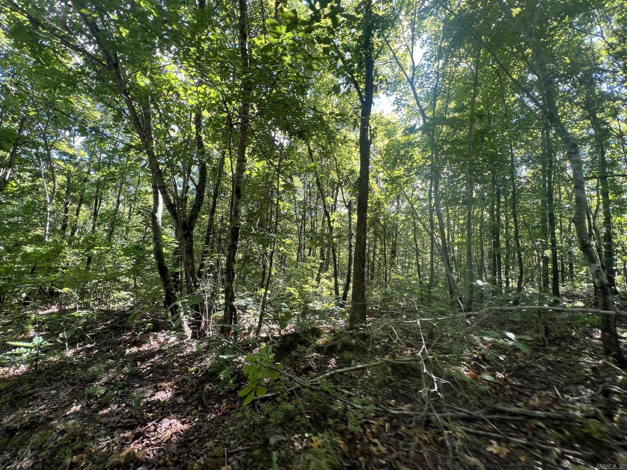 Unk Fs Road 521 Property Photo 24
