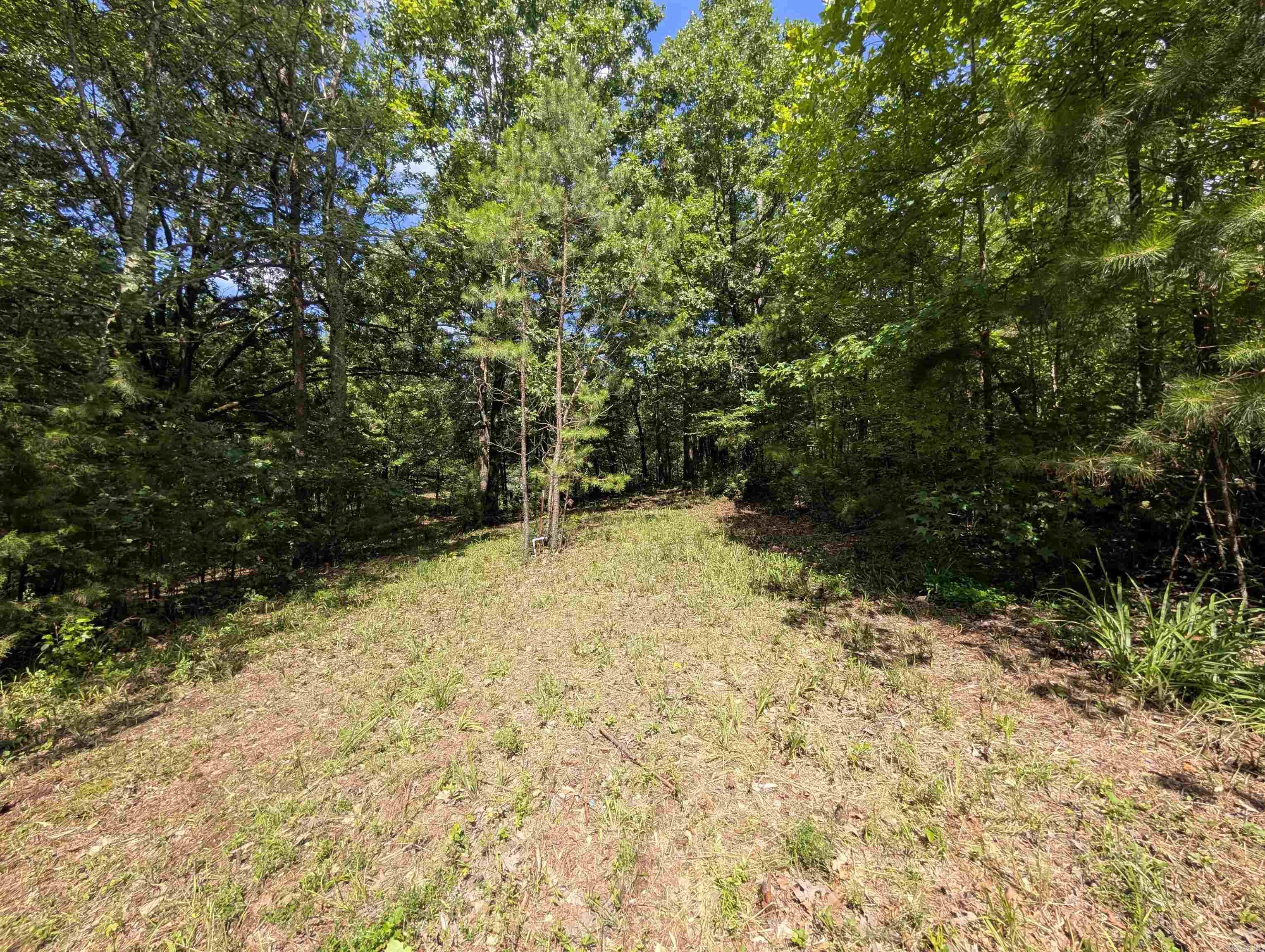 Unk Fs Road 521 Property Photo 27