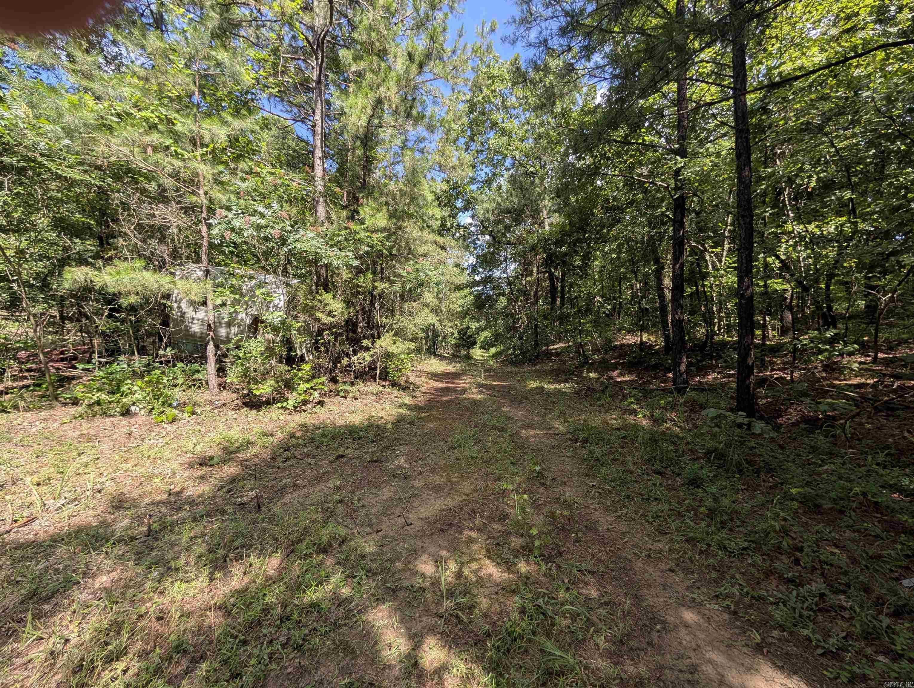 Unk Fs Road 521 Property Photo 28