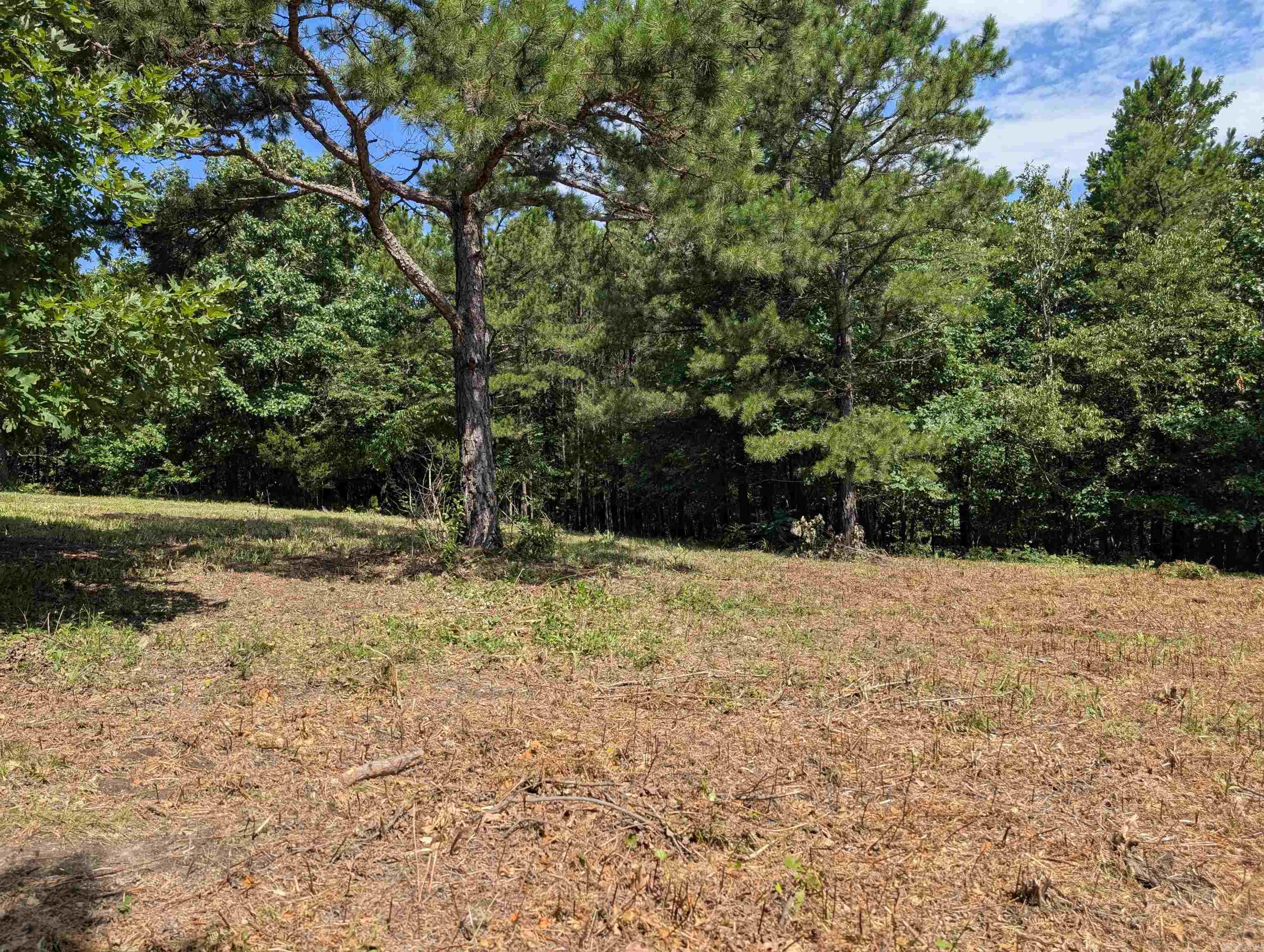 Unk Fs Road 521 Property Photo 29