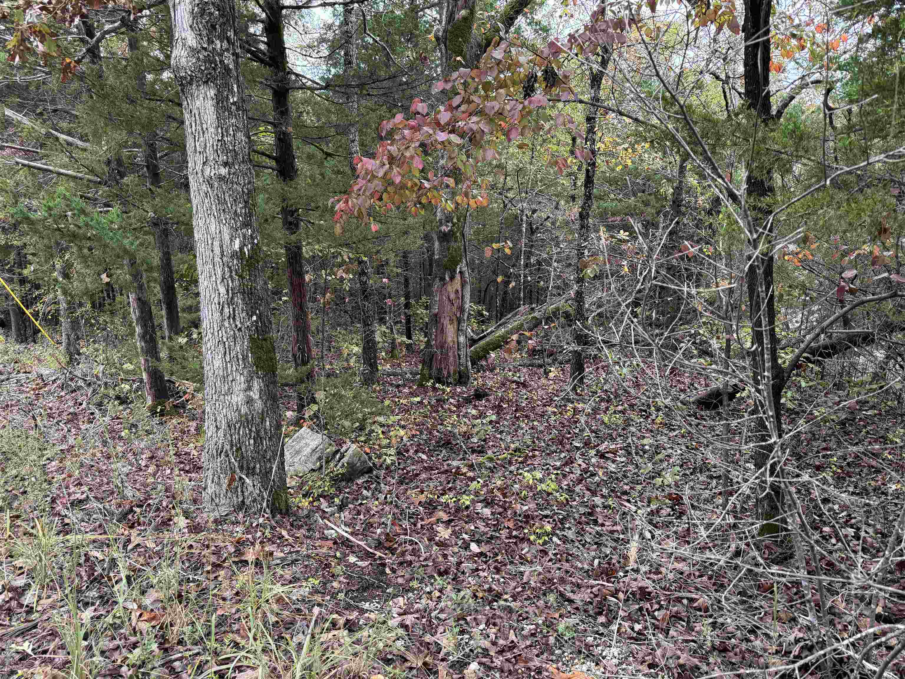 1300 Hummingbird Lane Property Photo 3