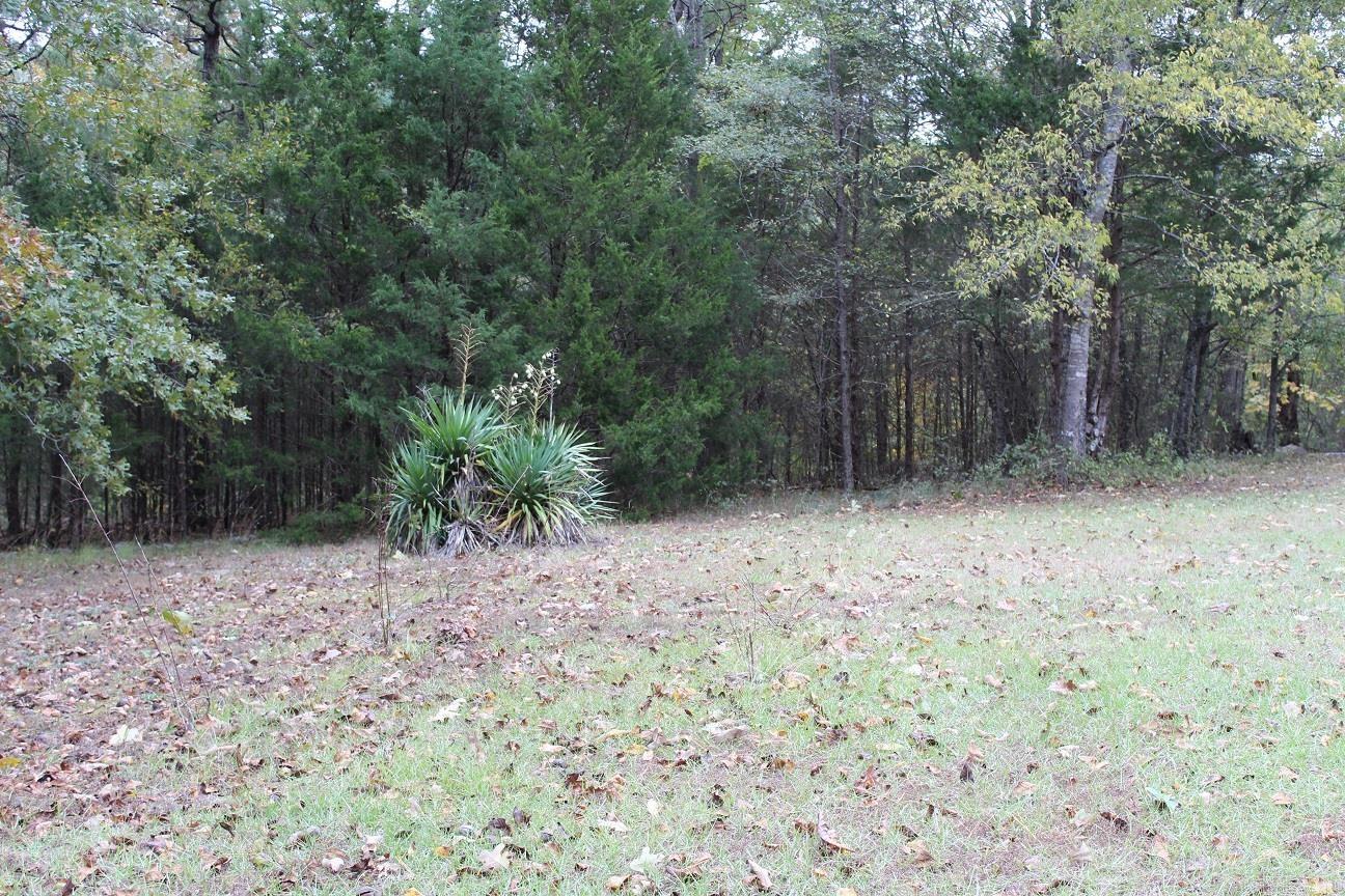 1713 Highway 270 Property Photo 7