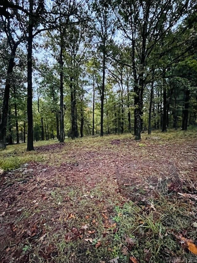 1713 Highway 270 Property Photo 15
