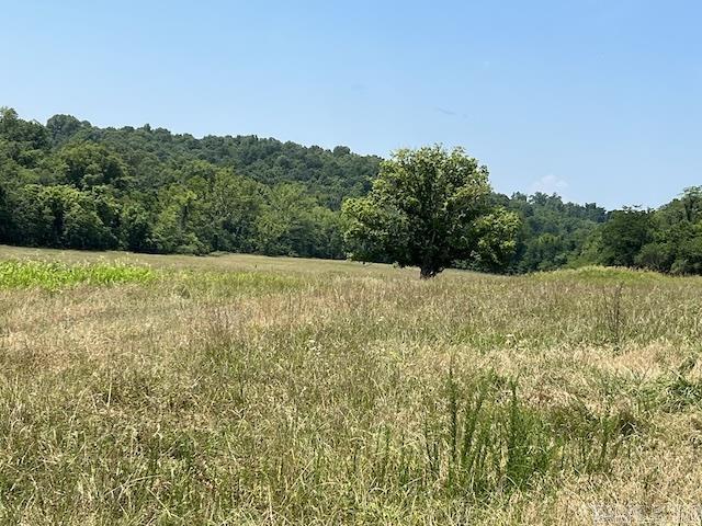 766 Rainbow Valley Trail Property Photo 5