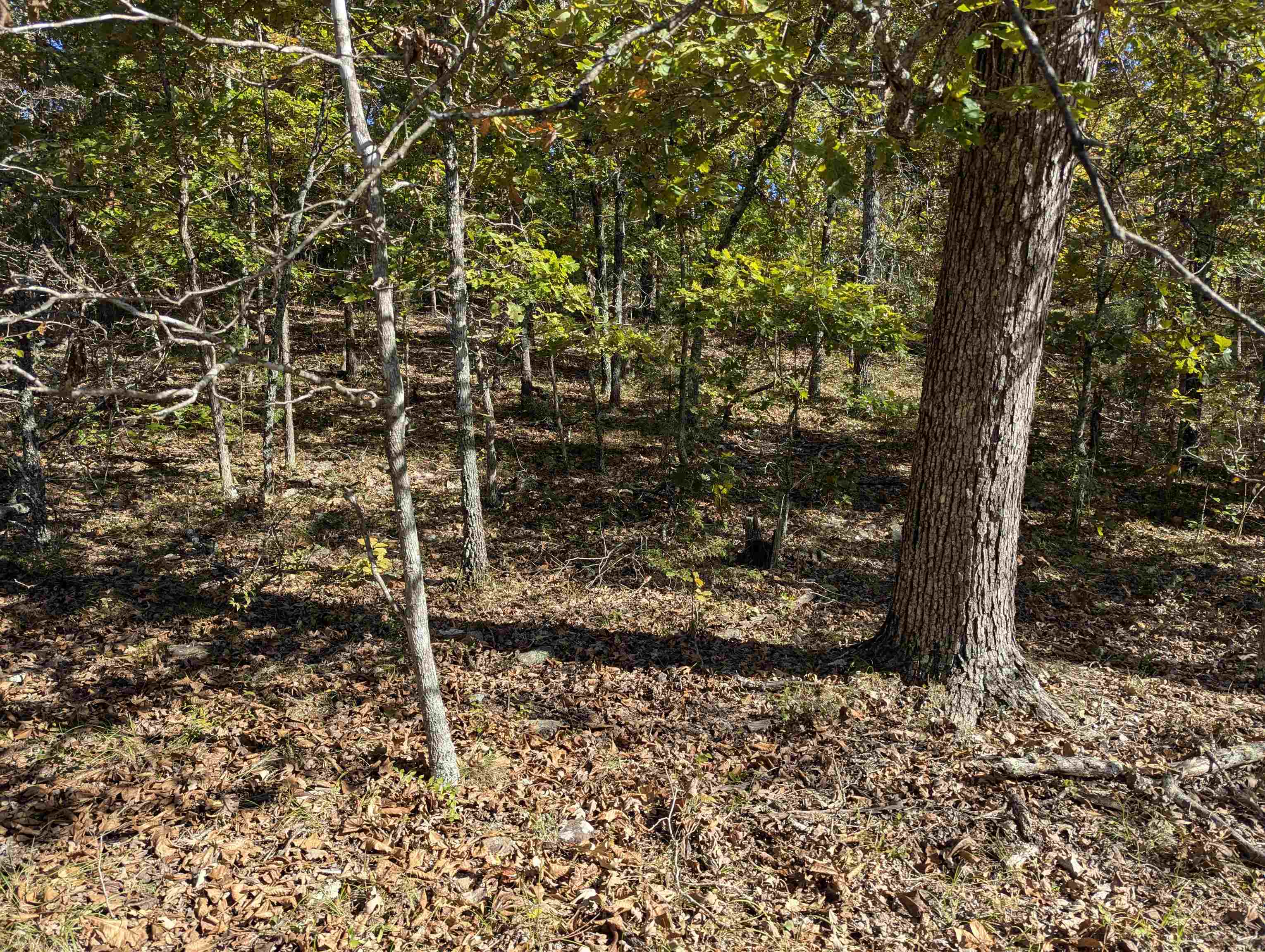 Tbd Dearborn Ln Property Photo 4
