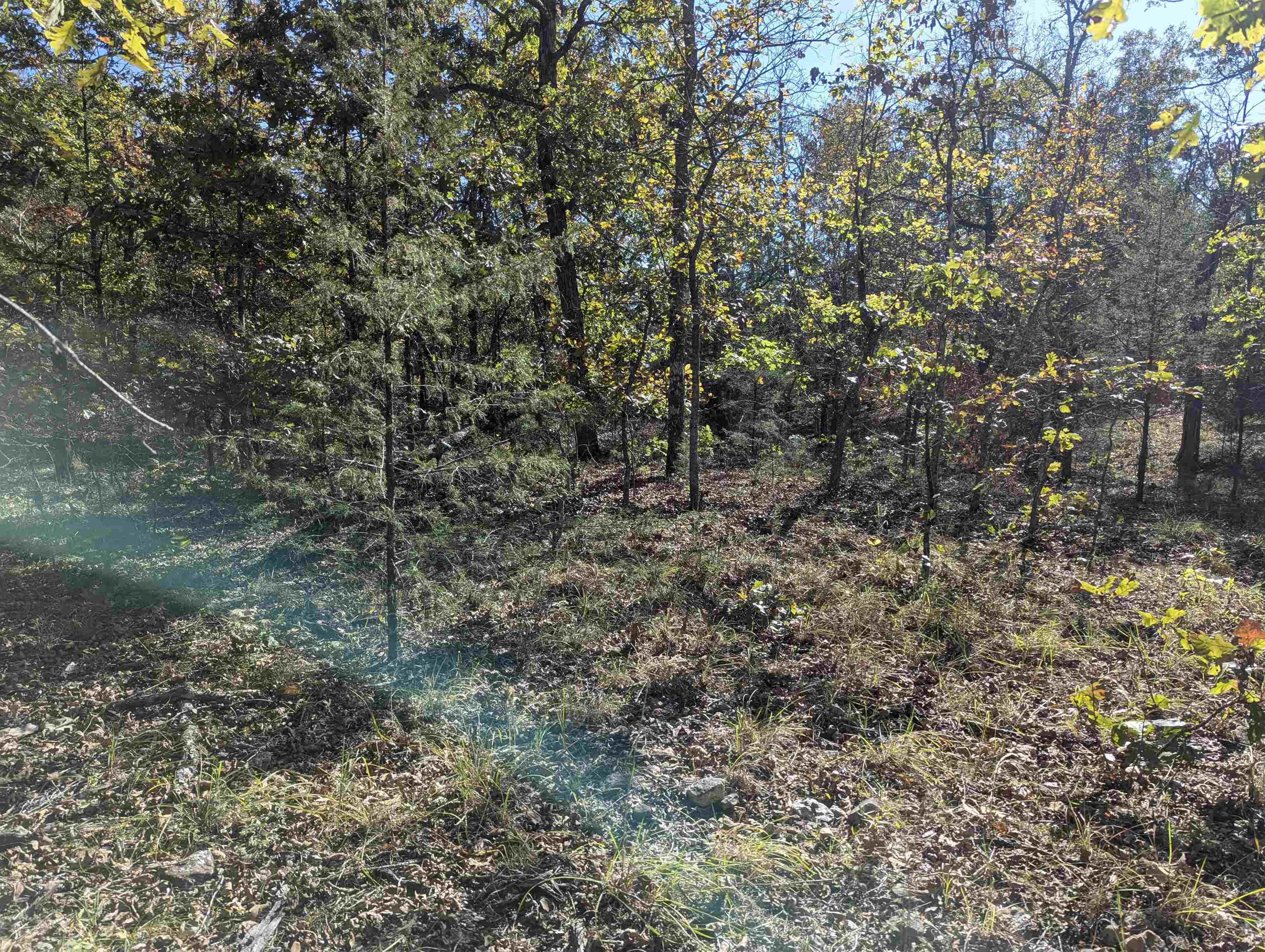 Tbd Dearborn Ln Property Photo 5