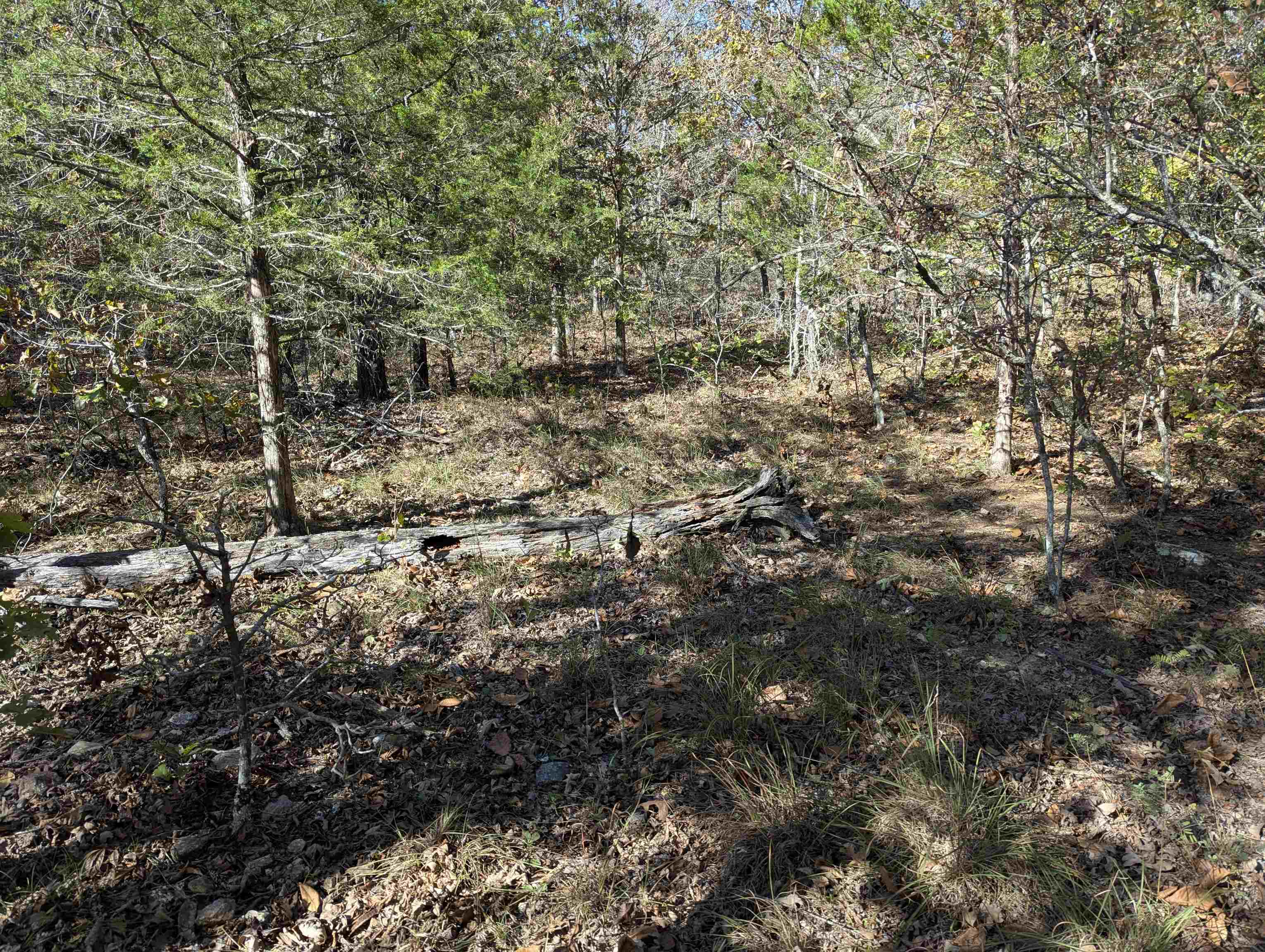 Tbd Dearborn Ln Property Photo 6