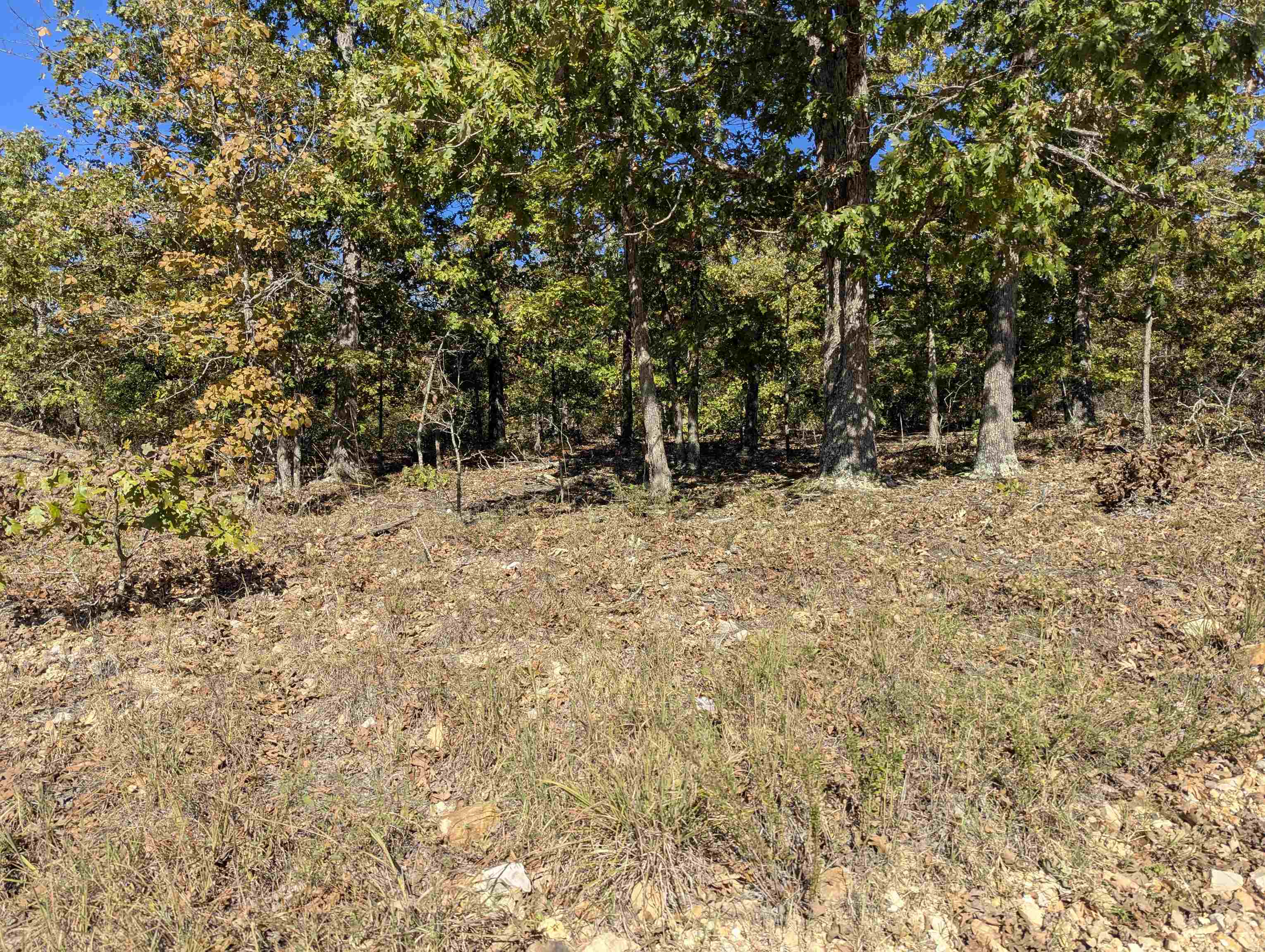 Tbd Dearborn Ln Property Photo 7