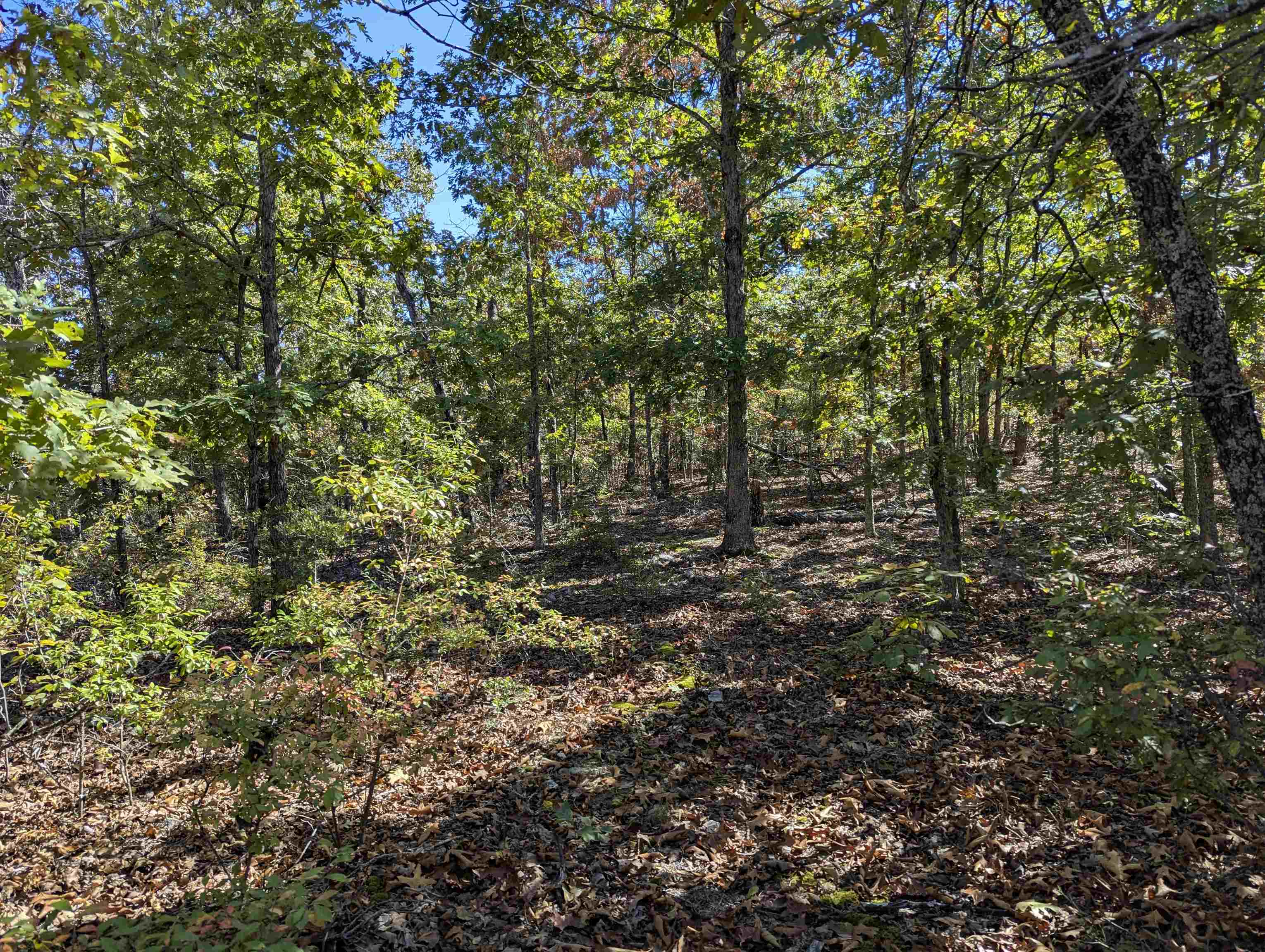 Tbd Dearborn Ln Property Photo 8