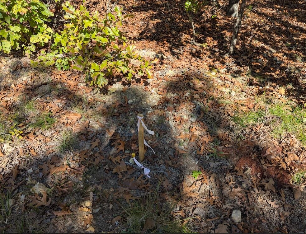Tbd Driftwood Rd Property Photo 1