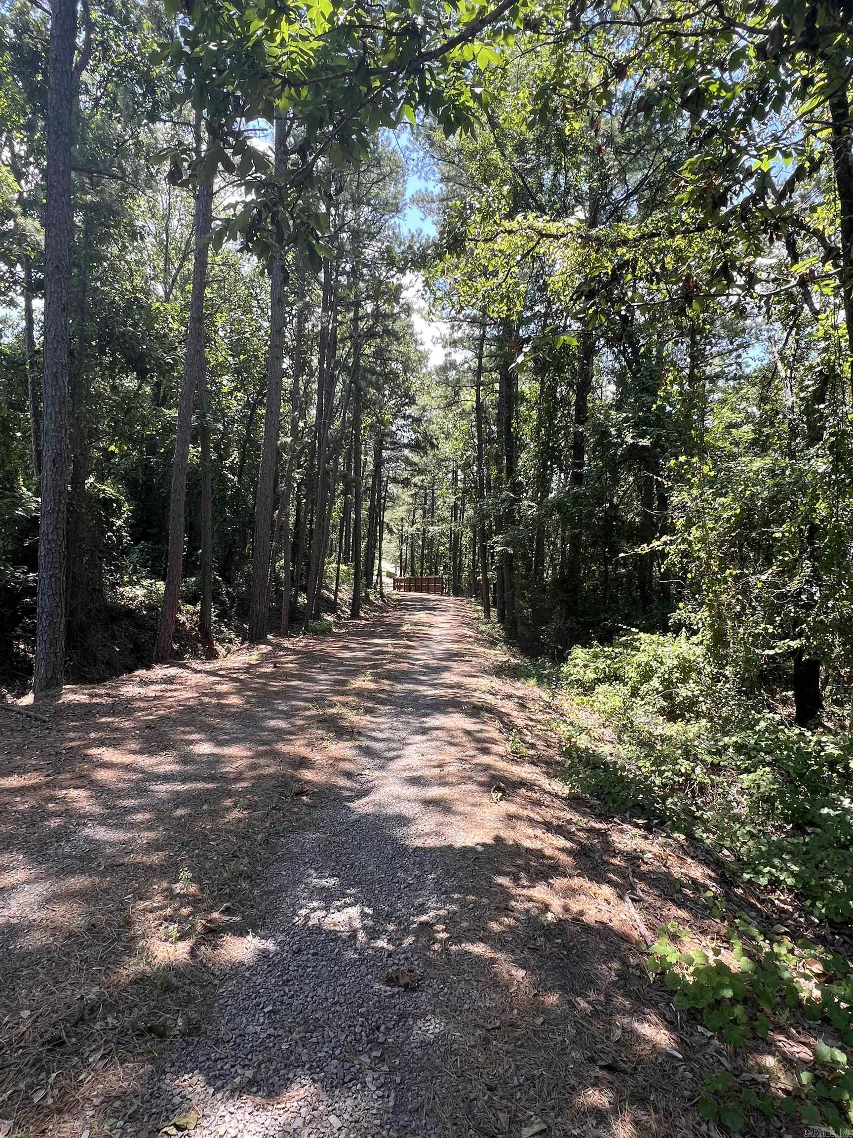 10127 George Mountain Loop Property Photo 44