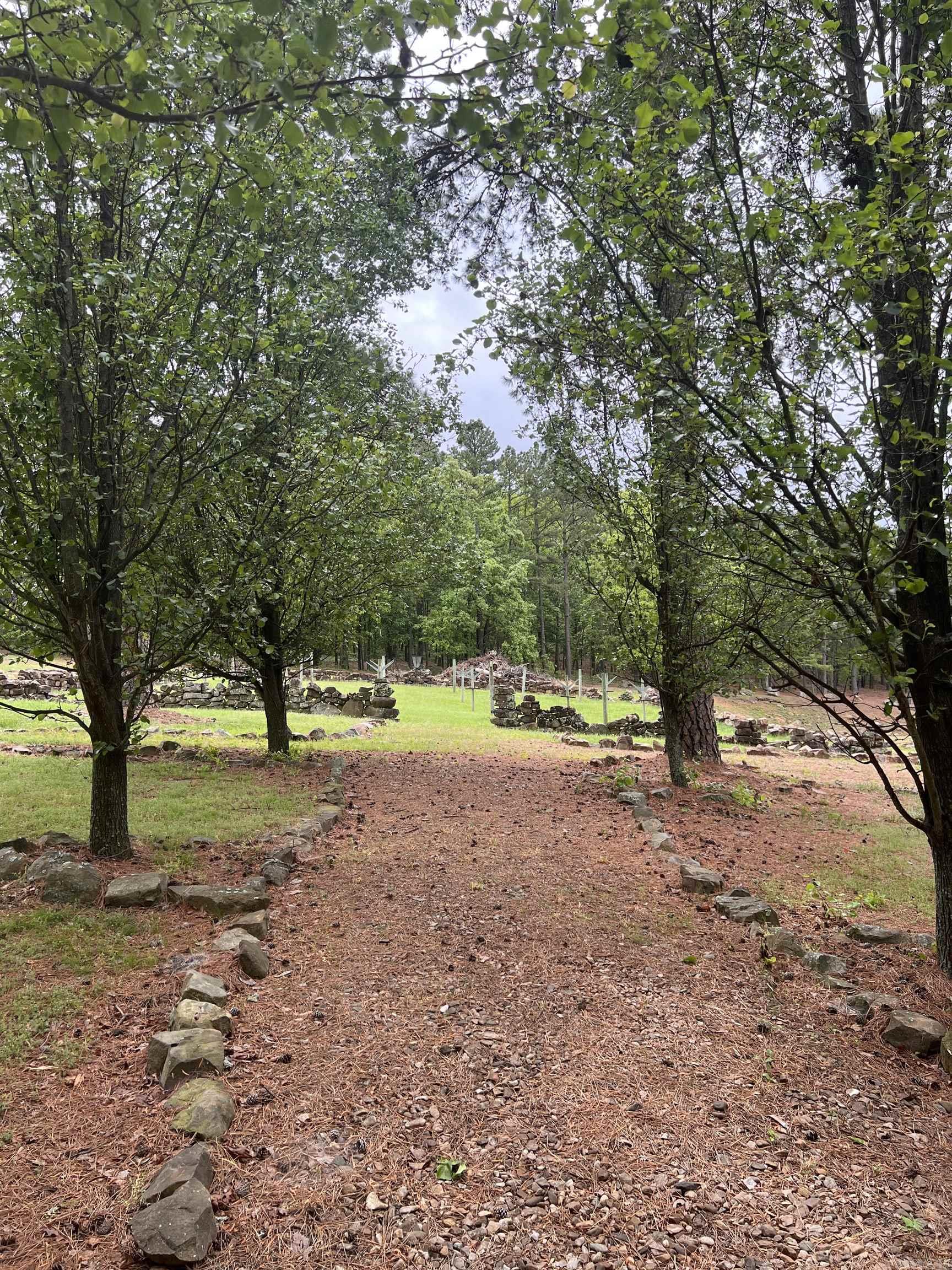 10127 George Mountain Loop Property Photo 45