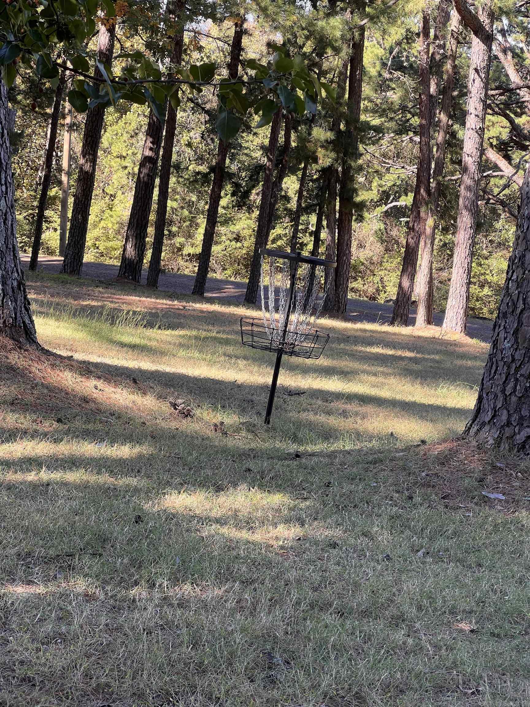 10127 George Mountain Loop Property Photo 46