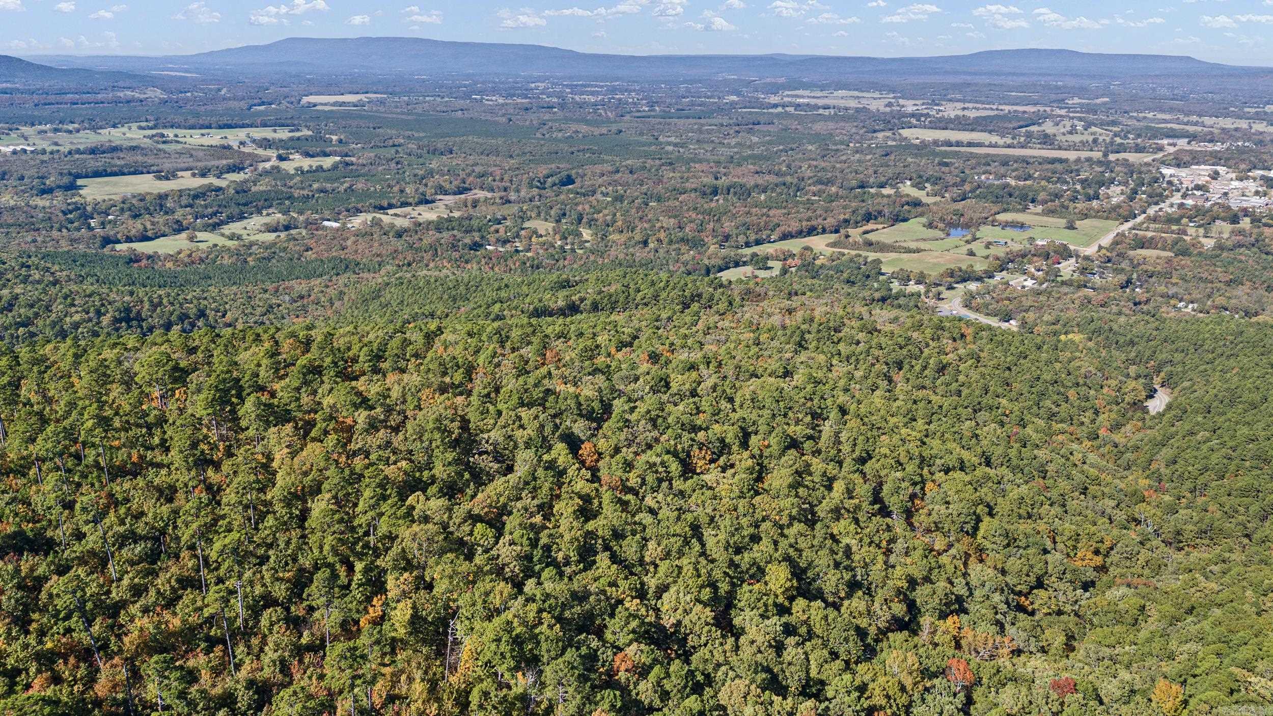 10127 George Mountain Loop Property Photo 49