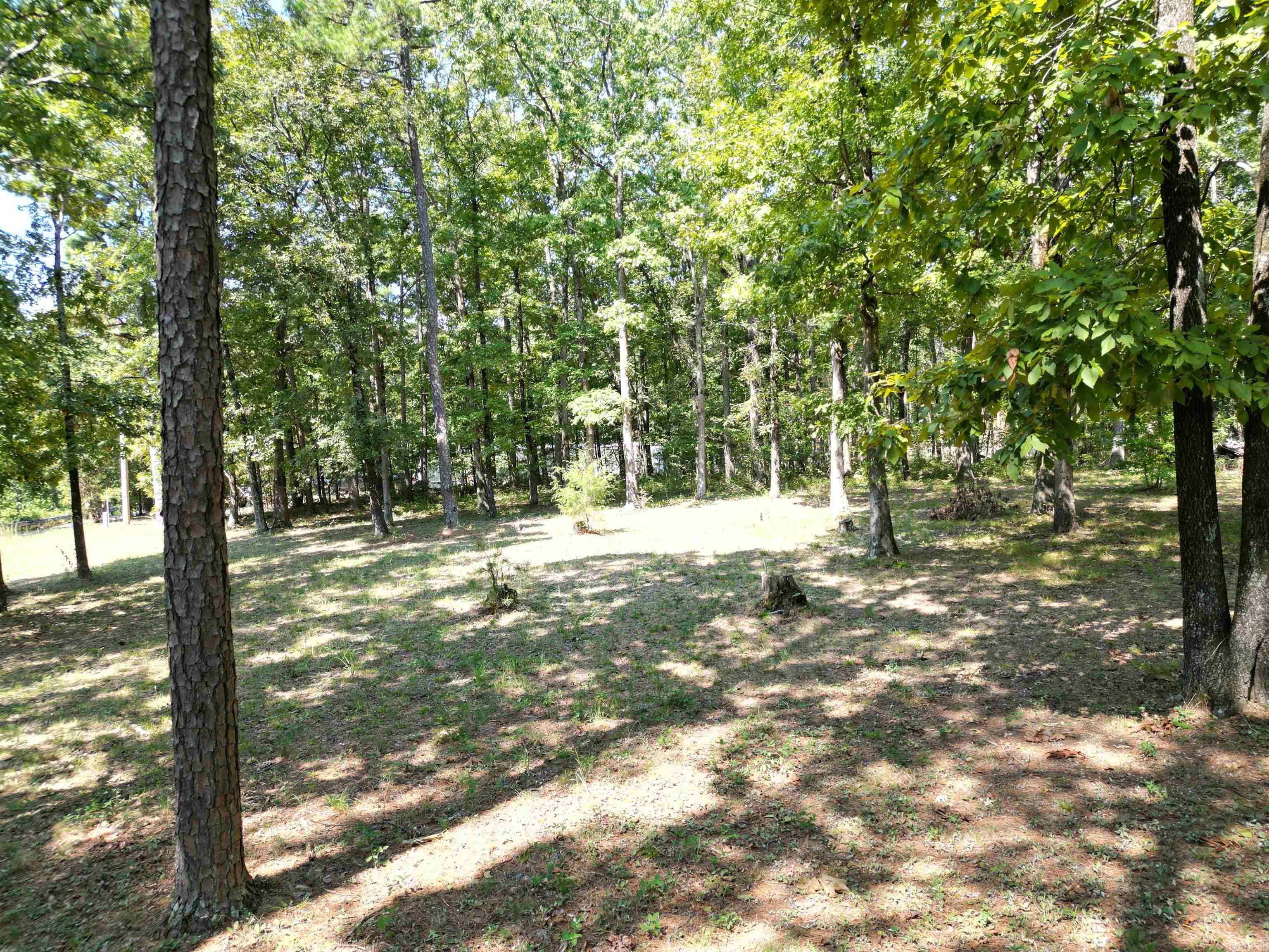 507 Henderson Road Property Photo 2