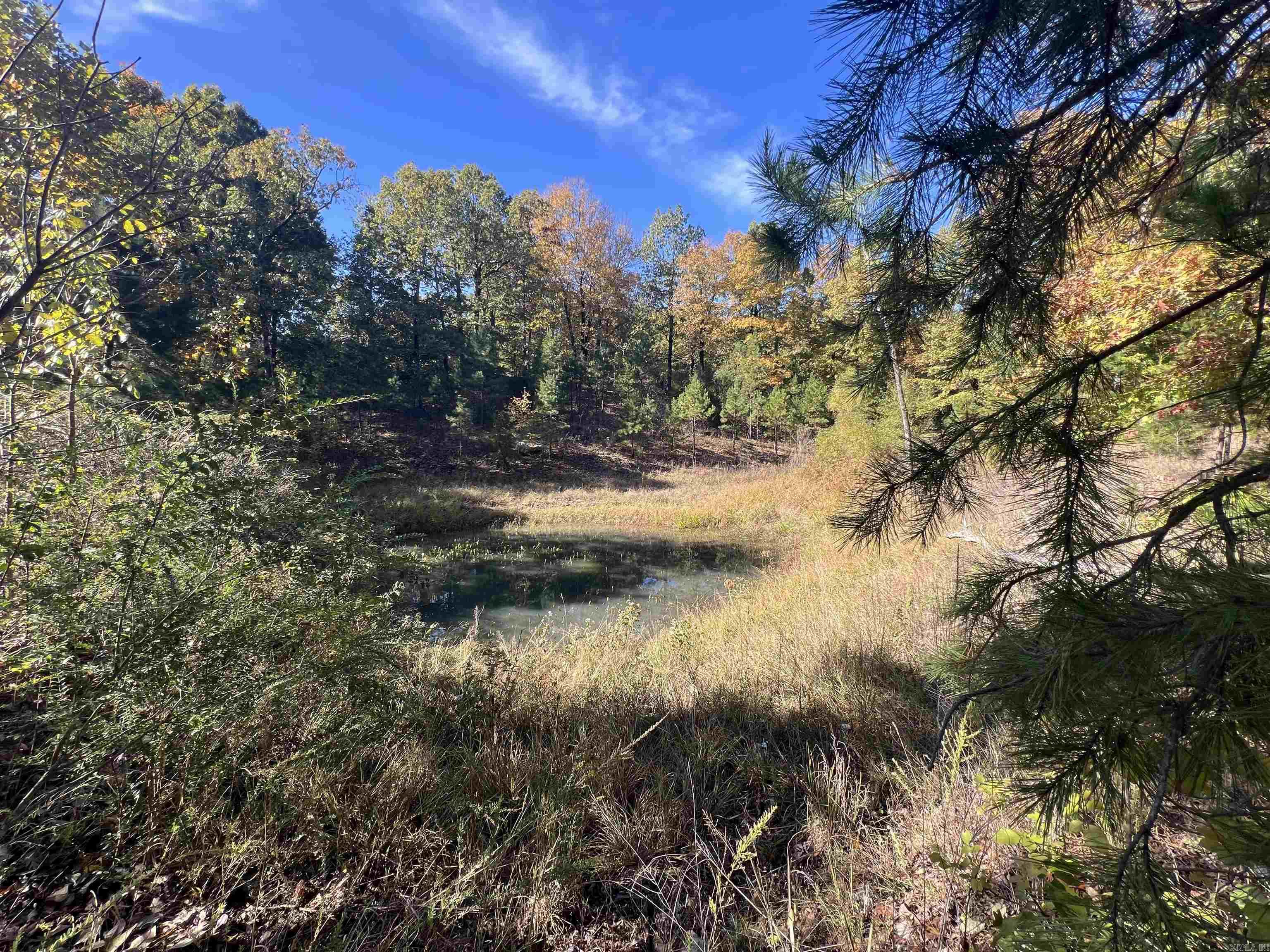 00 Hwy 254 Property Photo 1