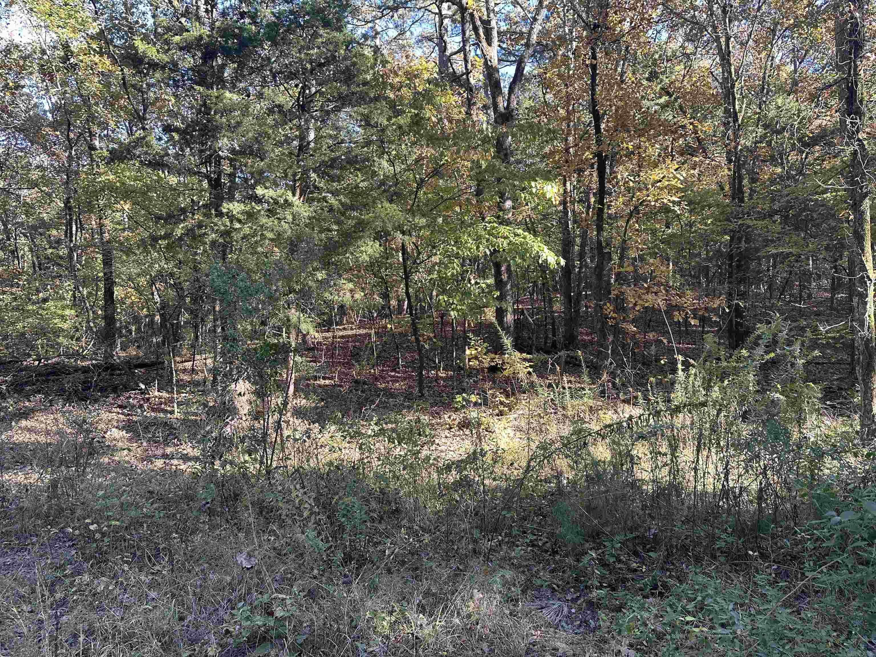 226 Cathedral Pines Ln Property Photo 8