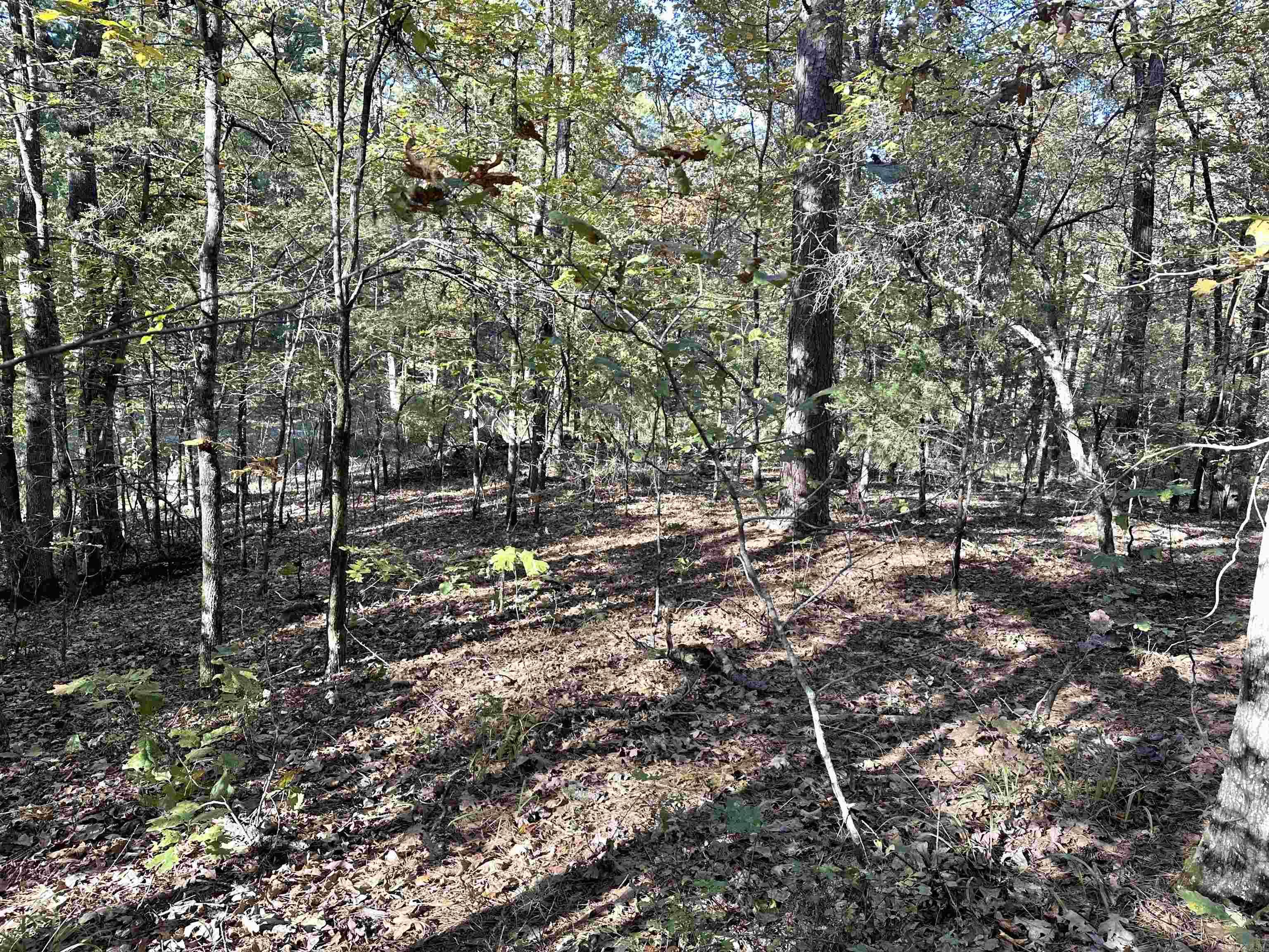 226 Cathedral Pines Ln Property Photo 12
