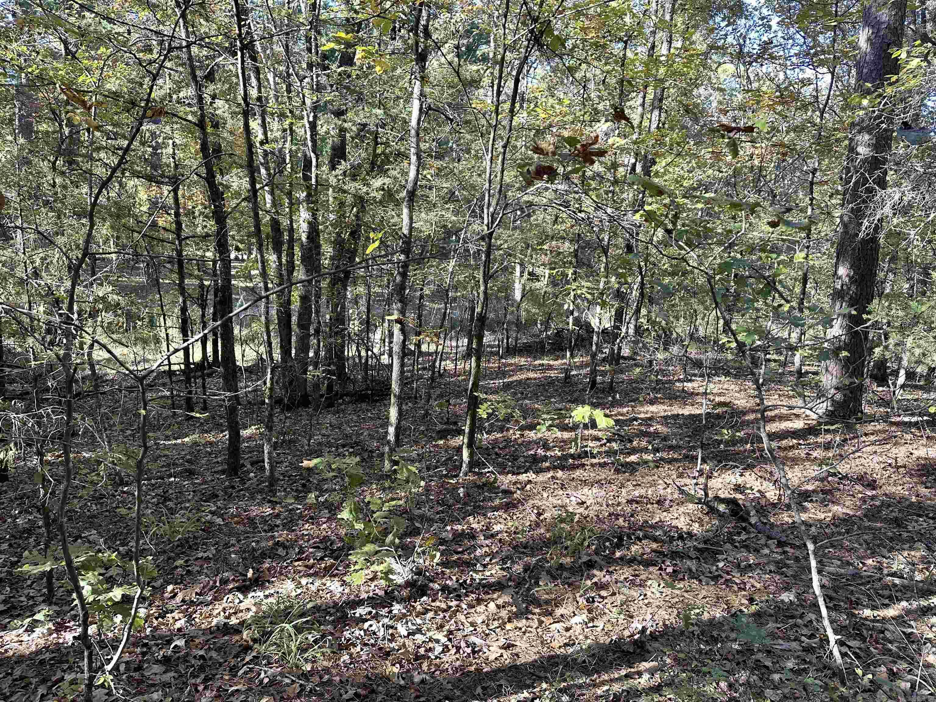 226 Cathedral Pines Ln Property Photo 13
