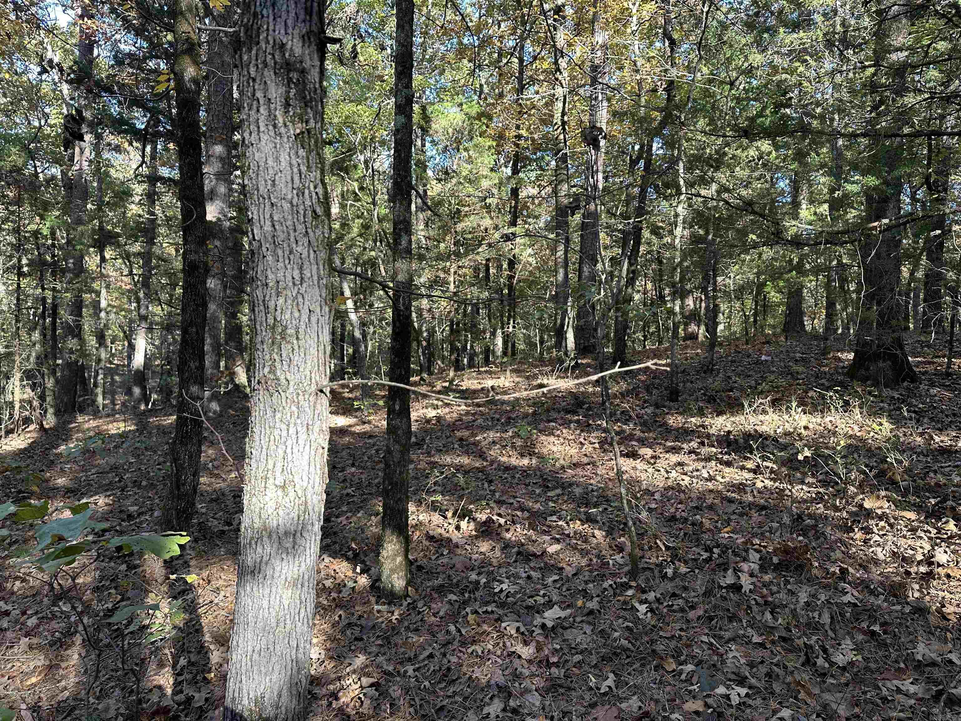 226 Cathedral Pines Ln Property Photo 20