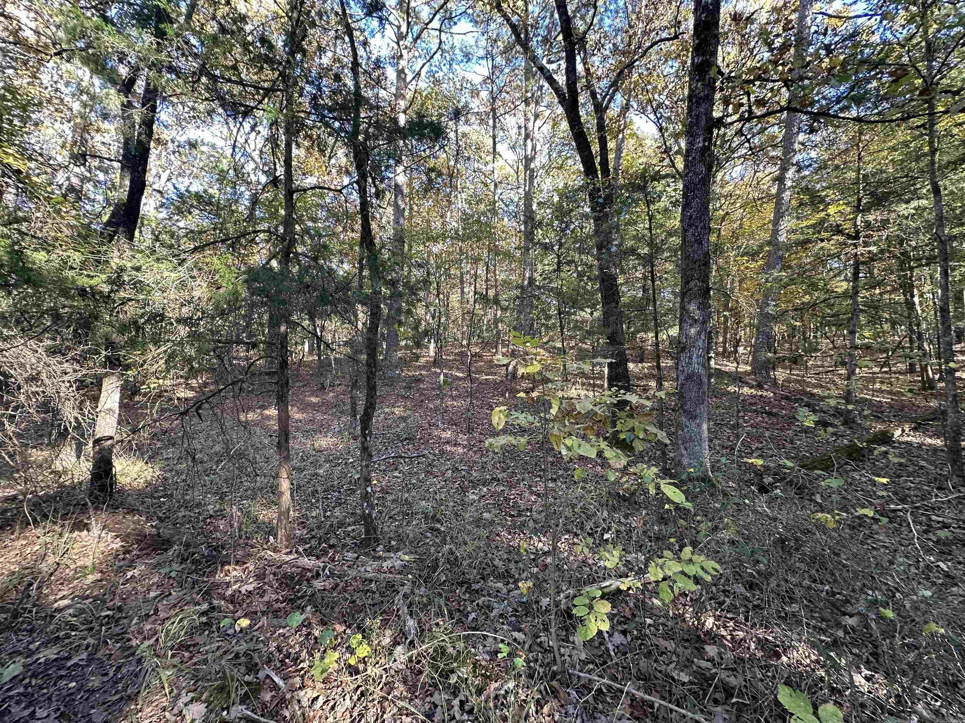 226 Cathedral Pines Ln Property Photo 23