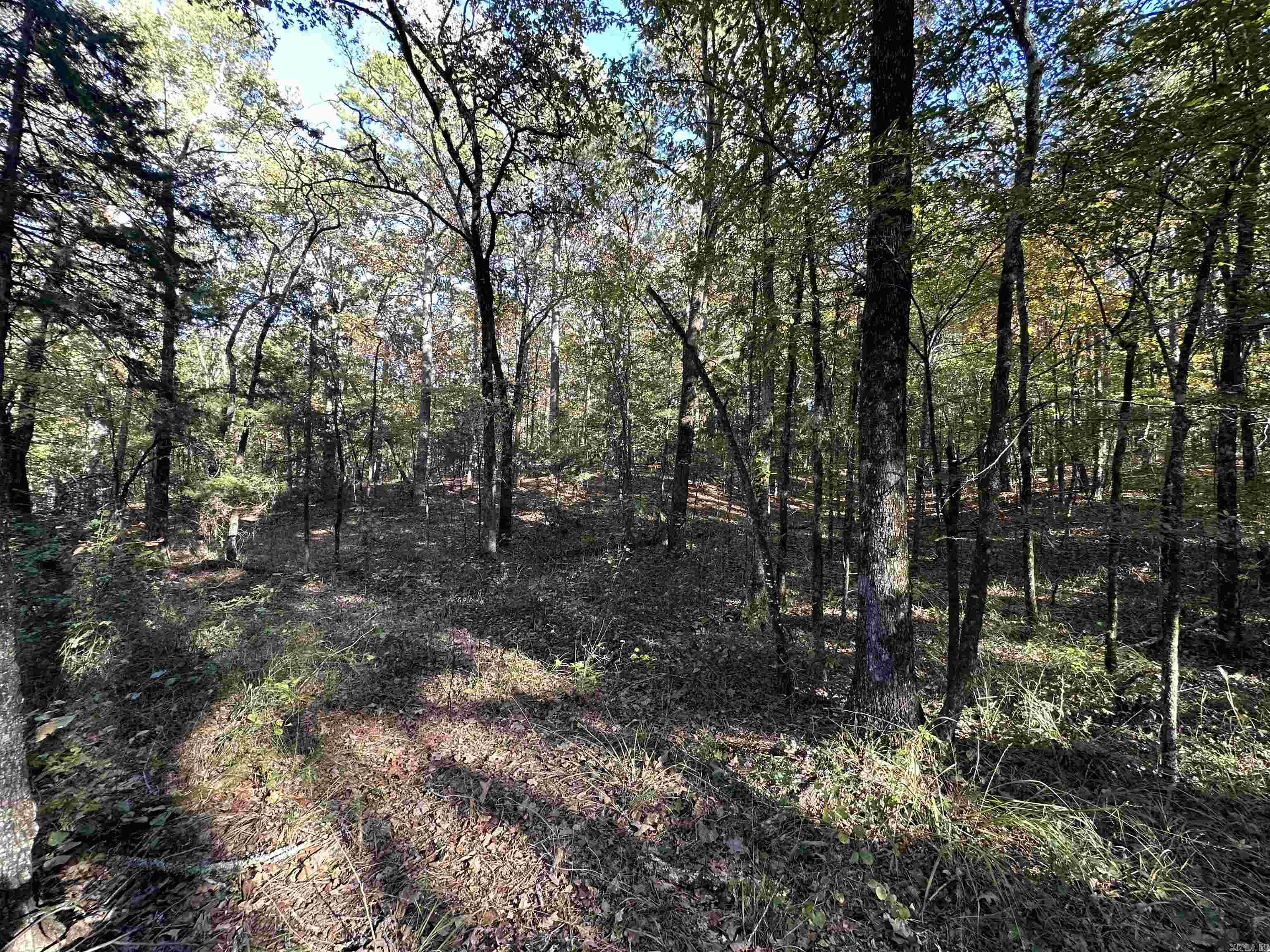 226 Cathedral Pines Ln Property Photo 27