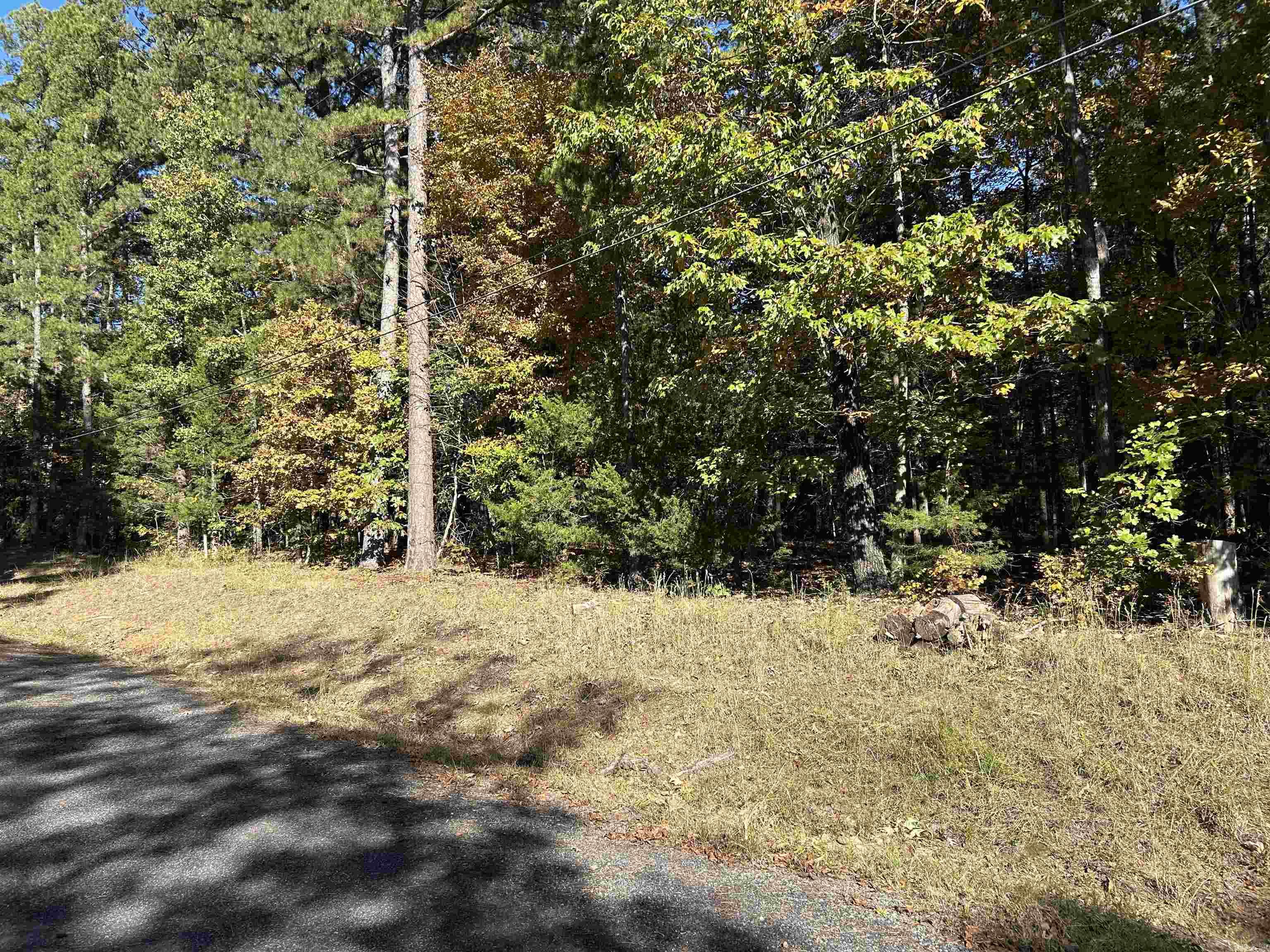 123 Robinhood Loop Property Photo 3