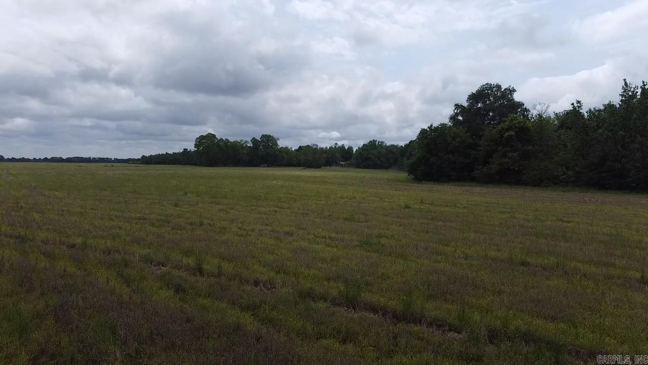 000 Cole Dealing Rd Property Photo 5