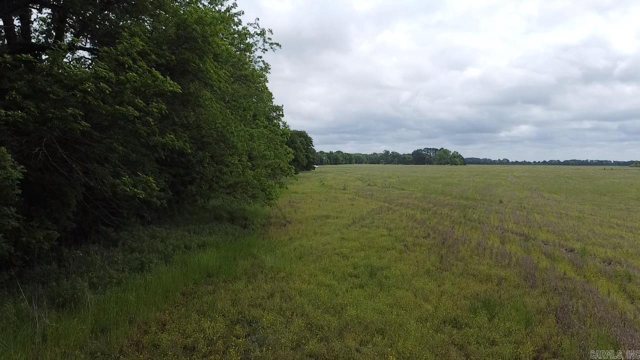 000 Cole Dealing Rd Property Photo 6