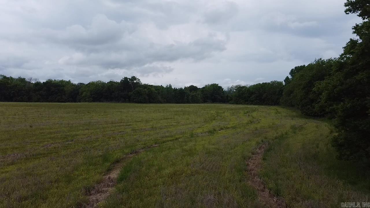 000 Cole Dealing Rd Property Photo 8