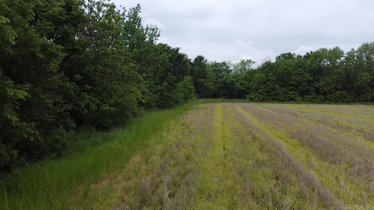 000 Cole Dealing Rd Property Photo 13