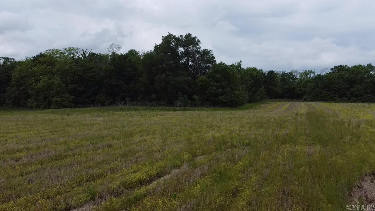 000 Cole Dealing Rd Property Photo 16