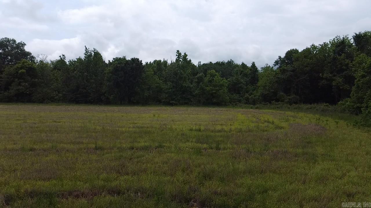 000 Cole Dealing Rd Property Photo 17