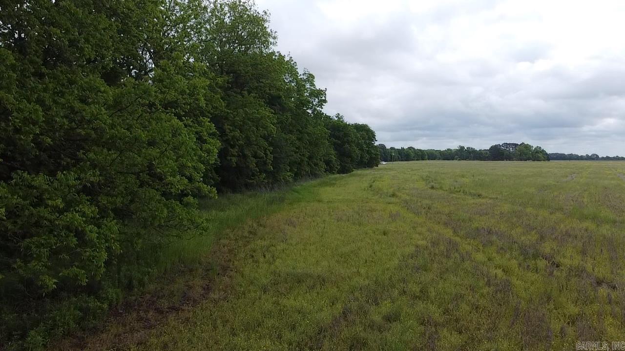 000 Cole Dealing Rd Property Photo 20