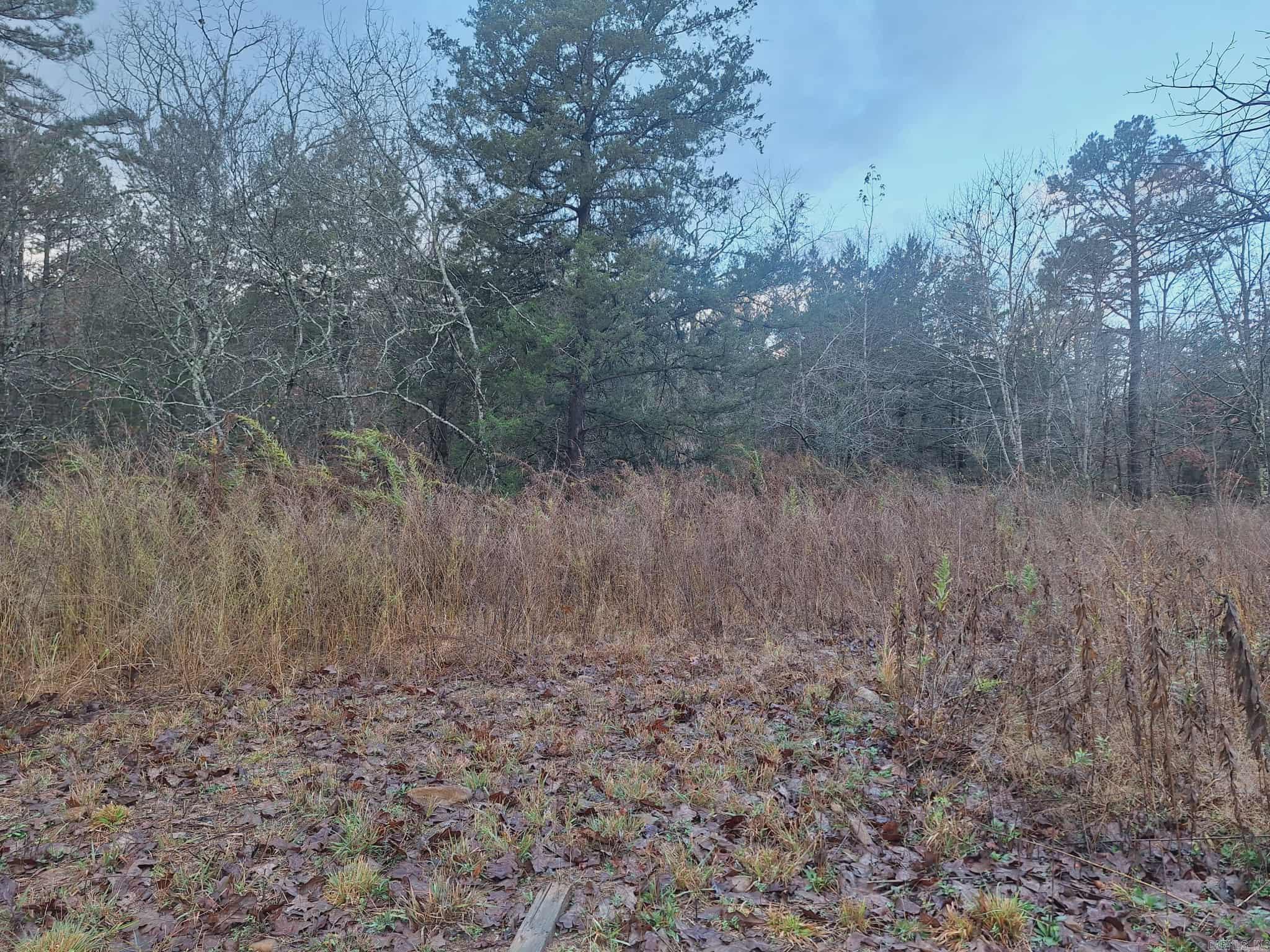 7449 Hwy 270 Property Photo 6
