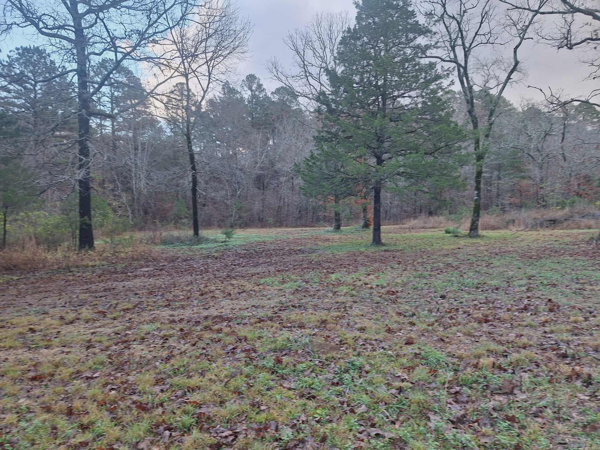 7449 Hwy 270 Property Photo 7