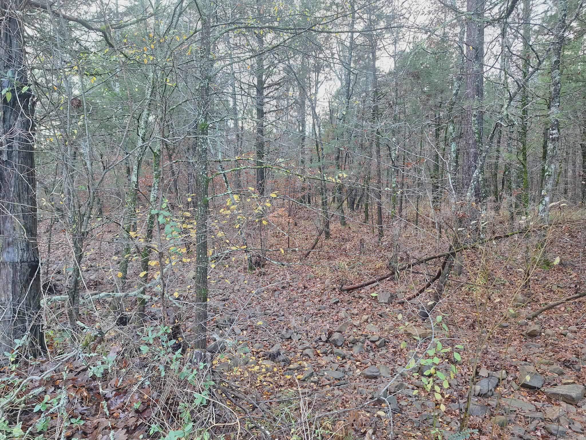 7449 Hwy 270 Property Photo 8