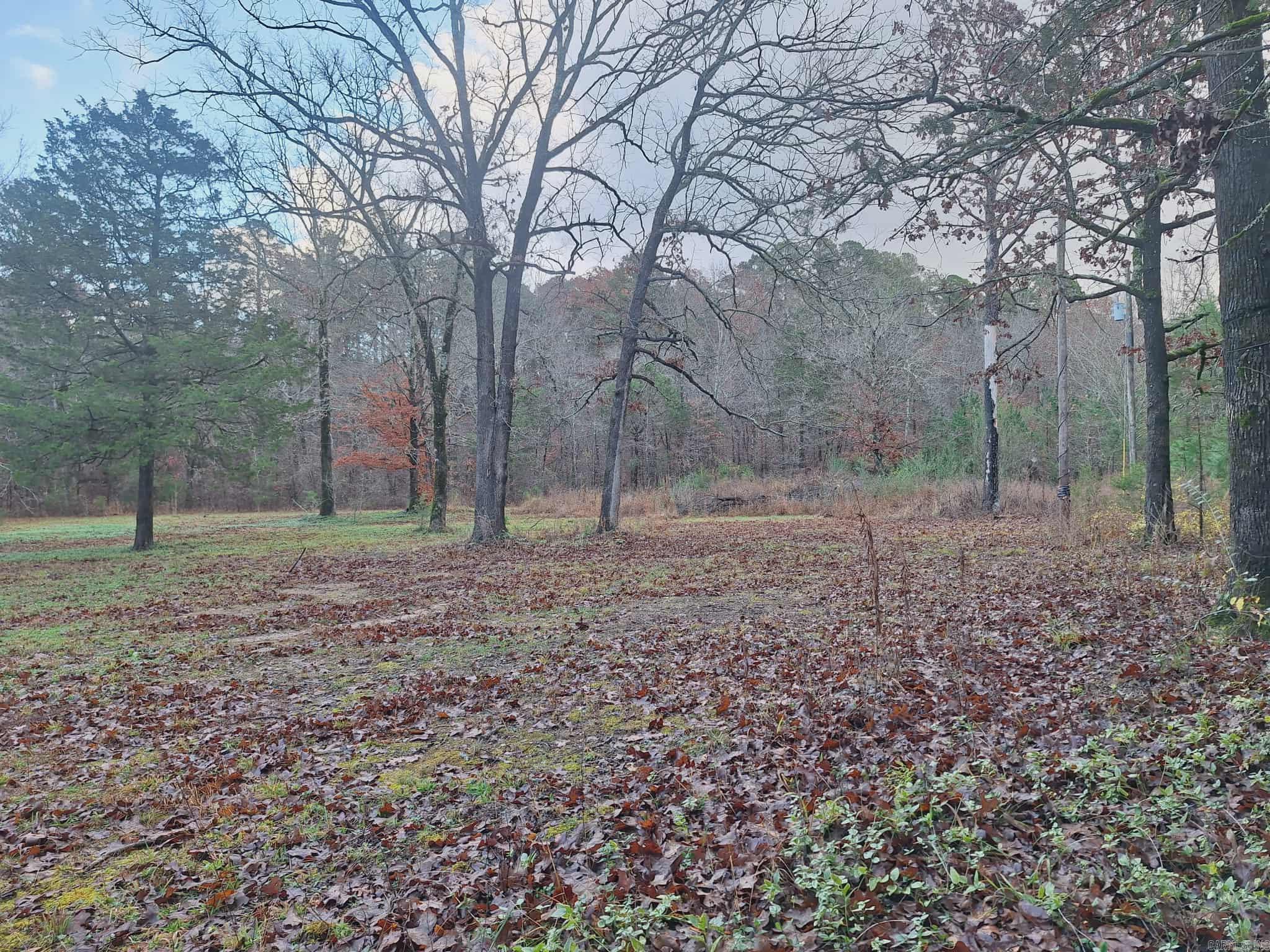 7449 Hwy 270 Property Photo 10