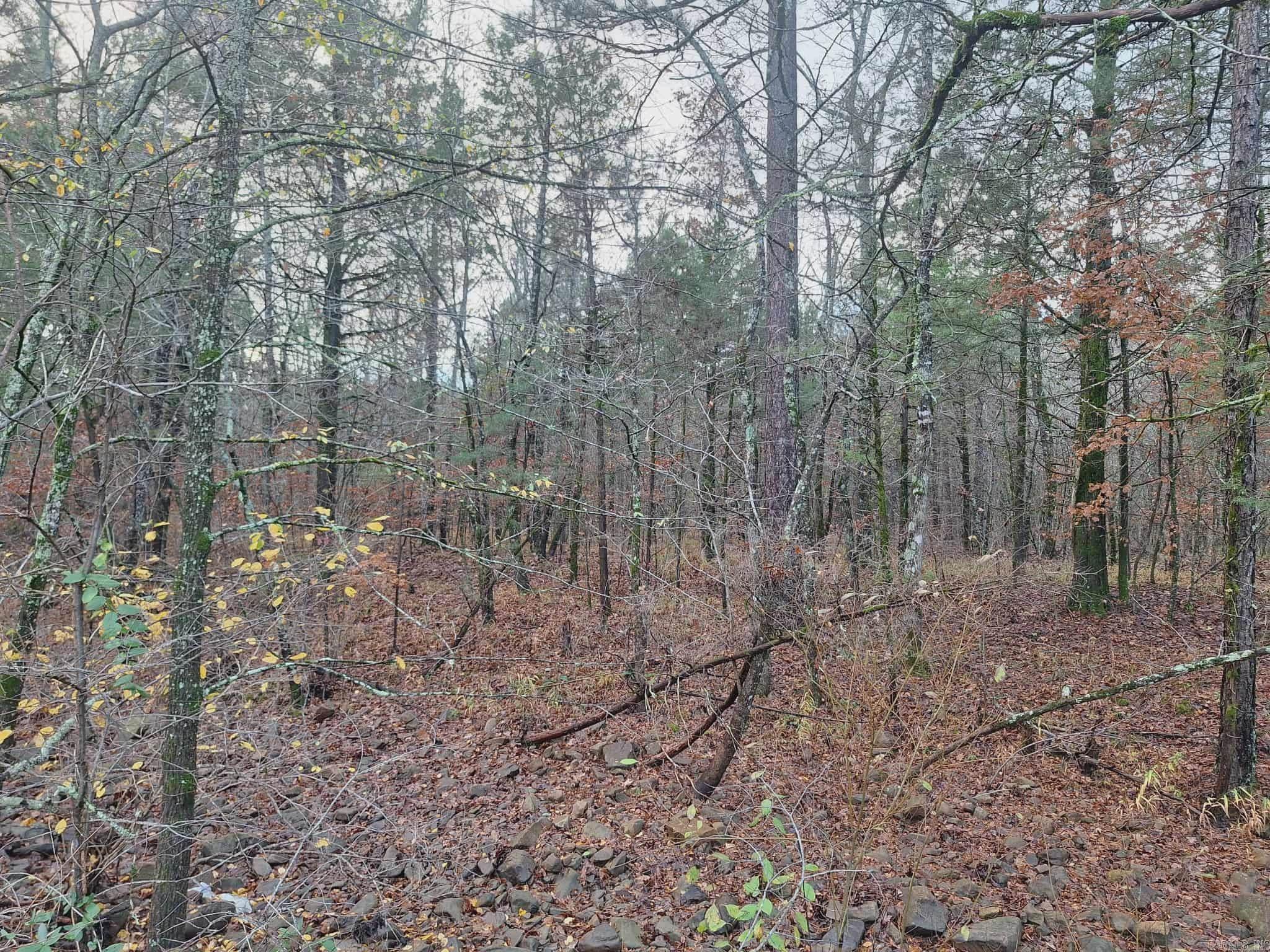 7449 Hwy 270 Property Photo 11