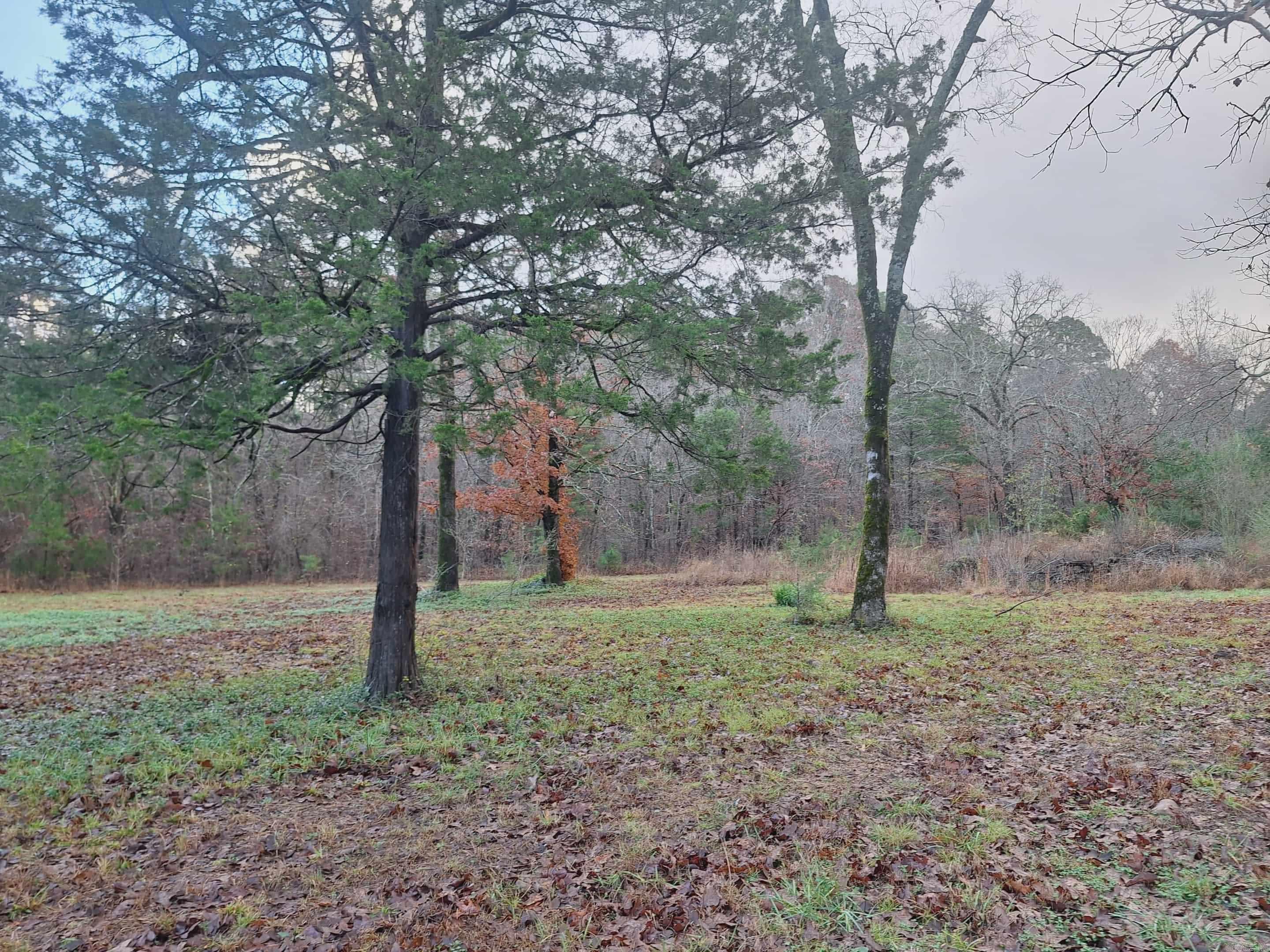 7449 Hwy 270 Property Photo 15