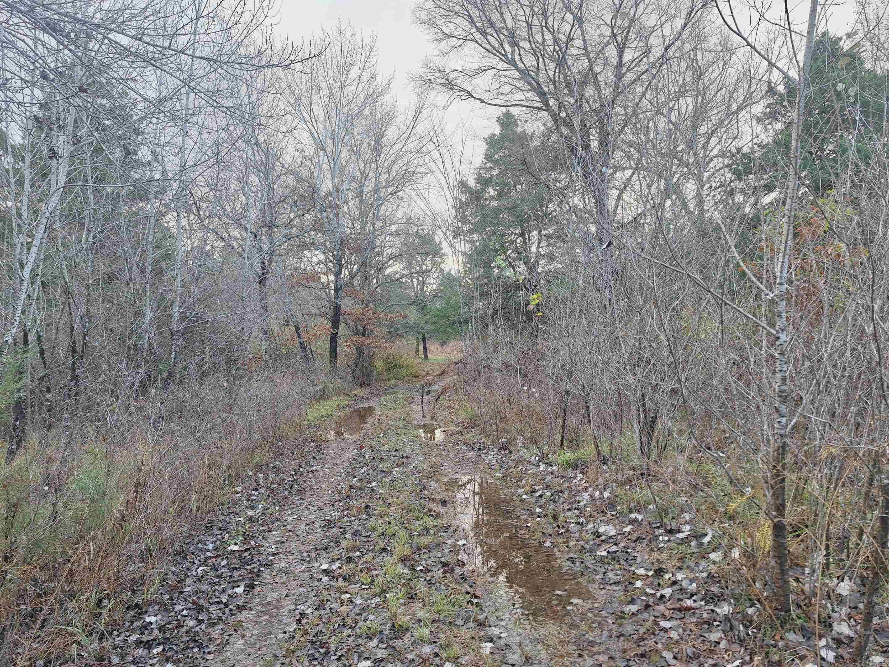 7449 Hwy 270 Property Photo 17