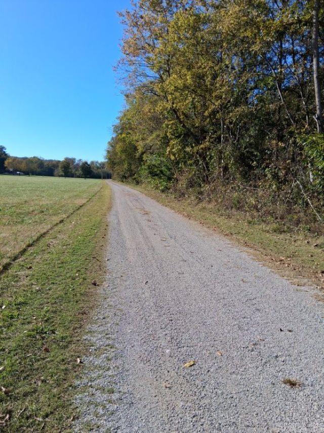 40 Penter's Bluff River Ridge Road Property Photo 6