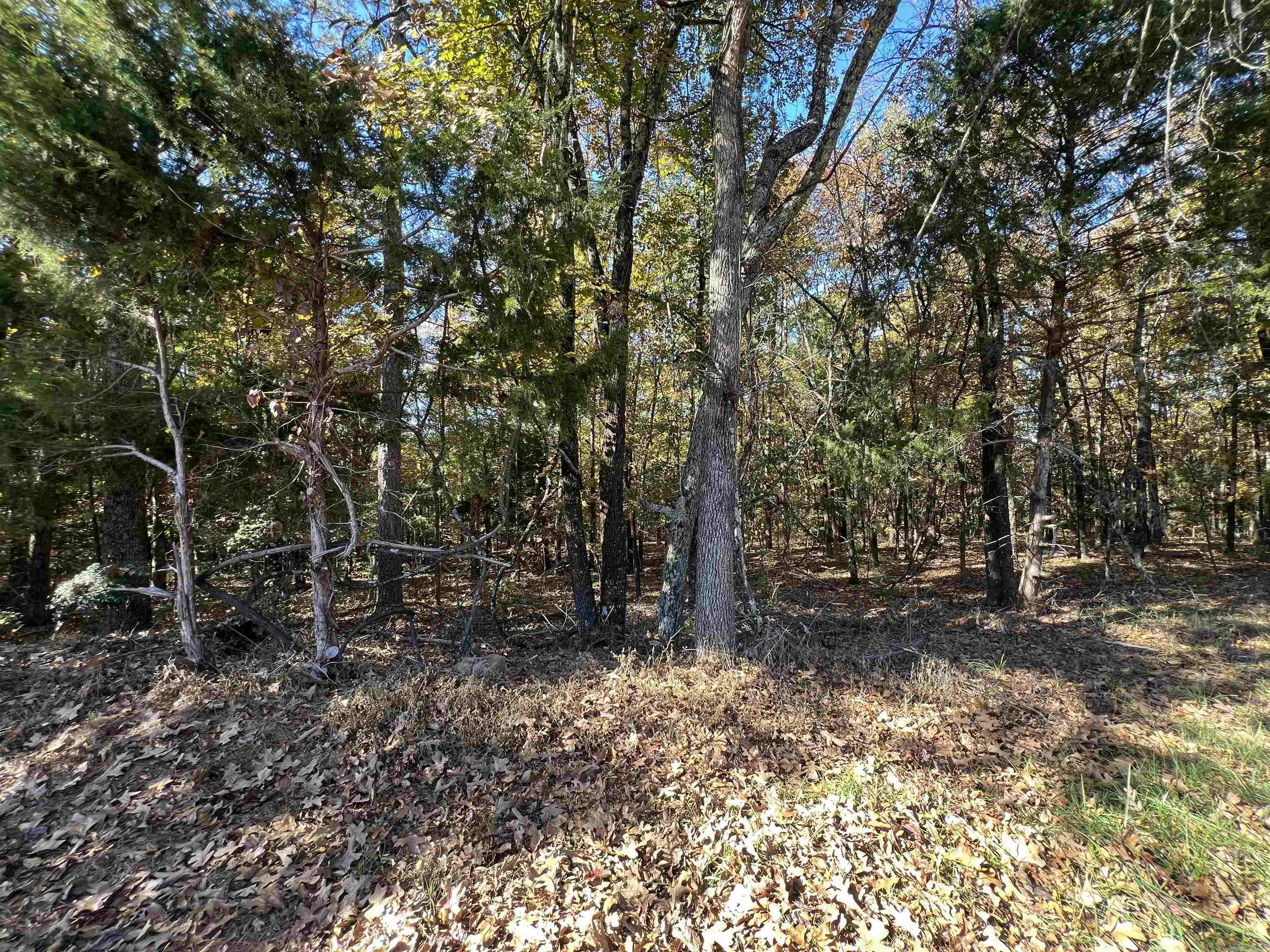 00 Rock Road Property Photo 2