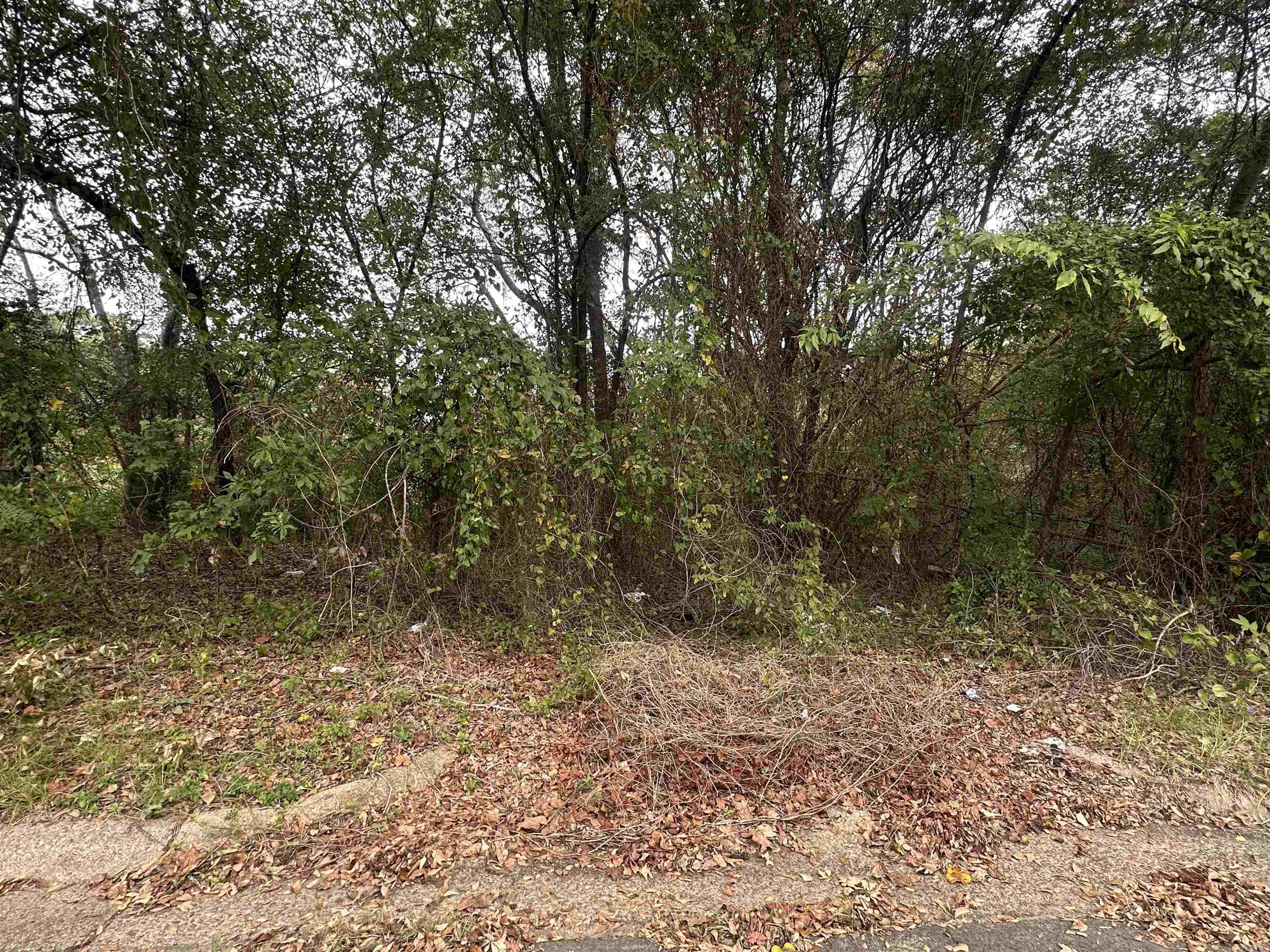 310 Johnson Property Photo 1