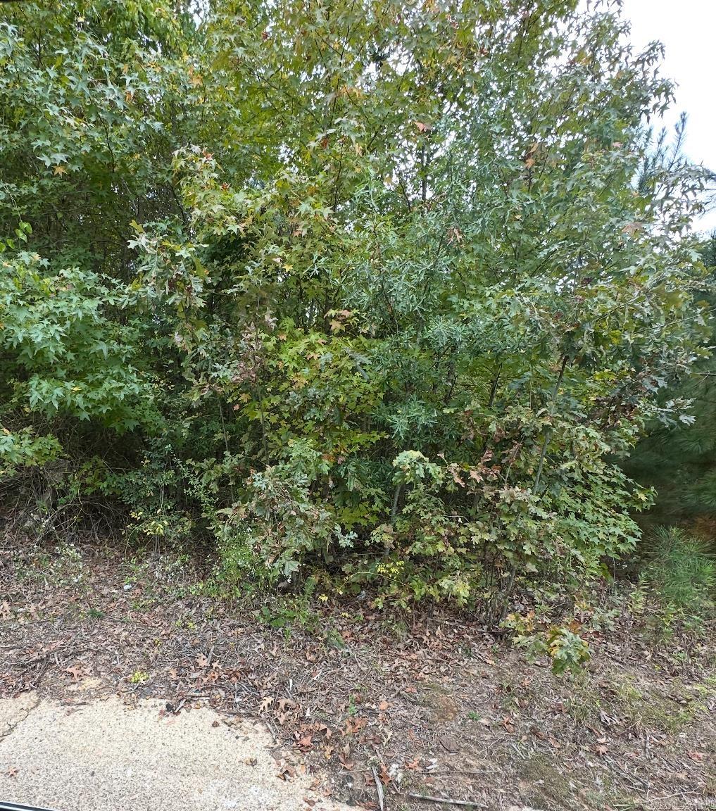 354 Harrison Ave Property Photo 1
